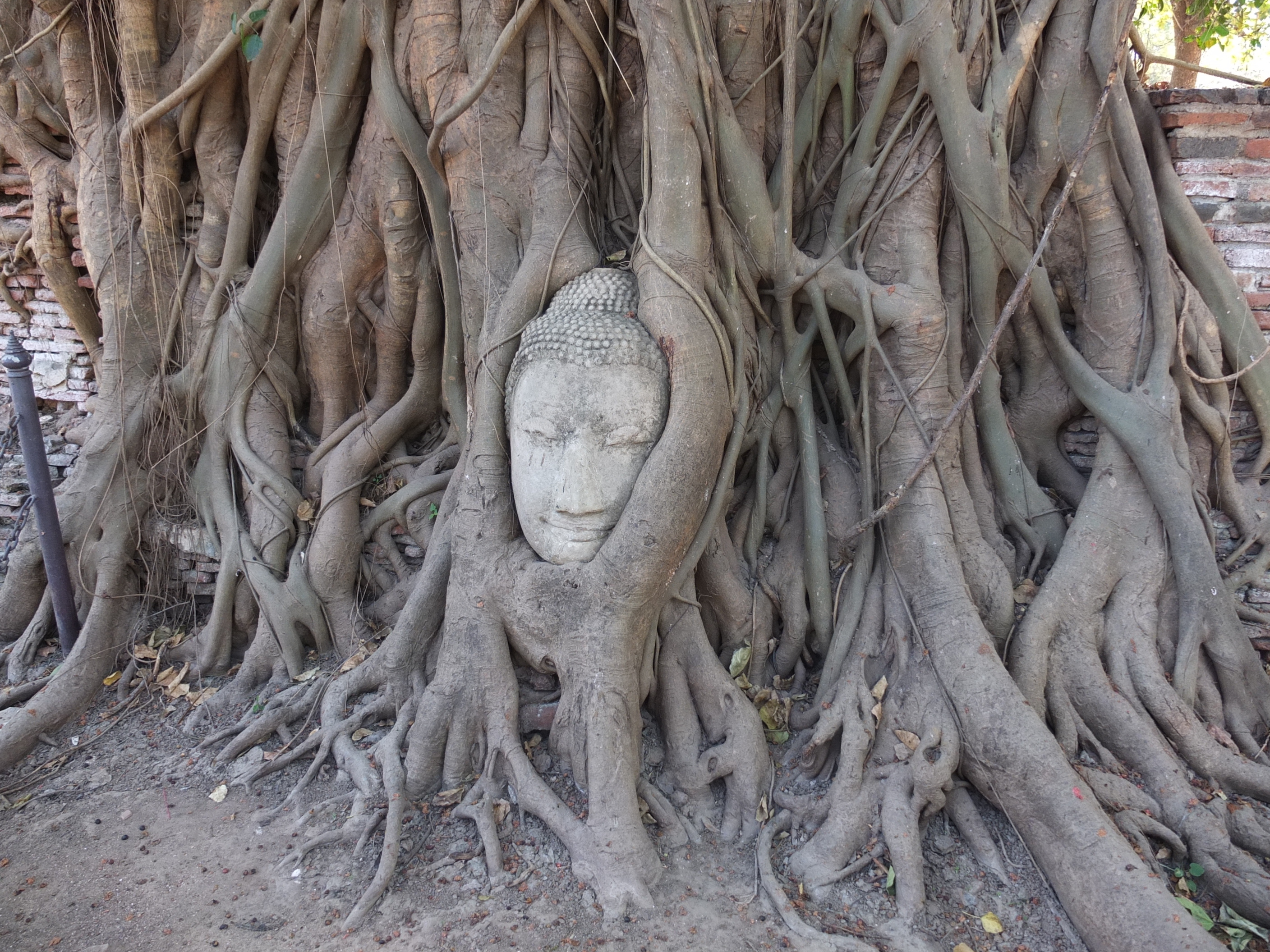 Photo Thaïlande Ayutthaya 2011-12 11