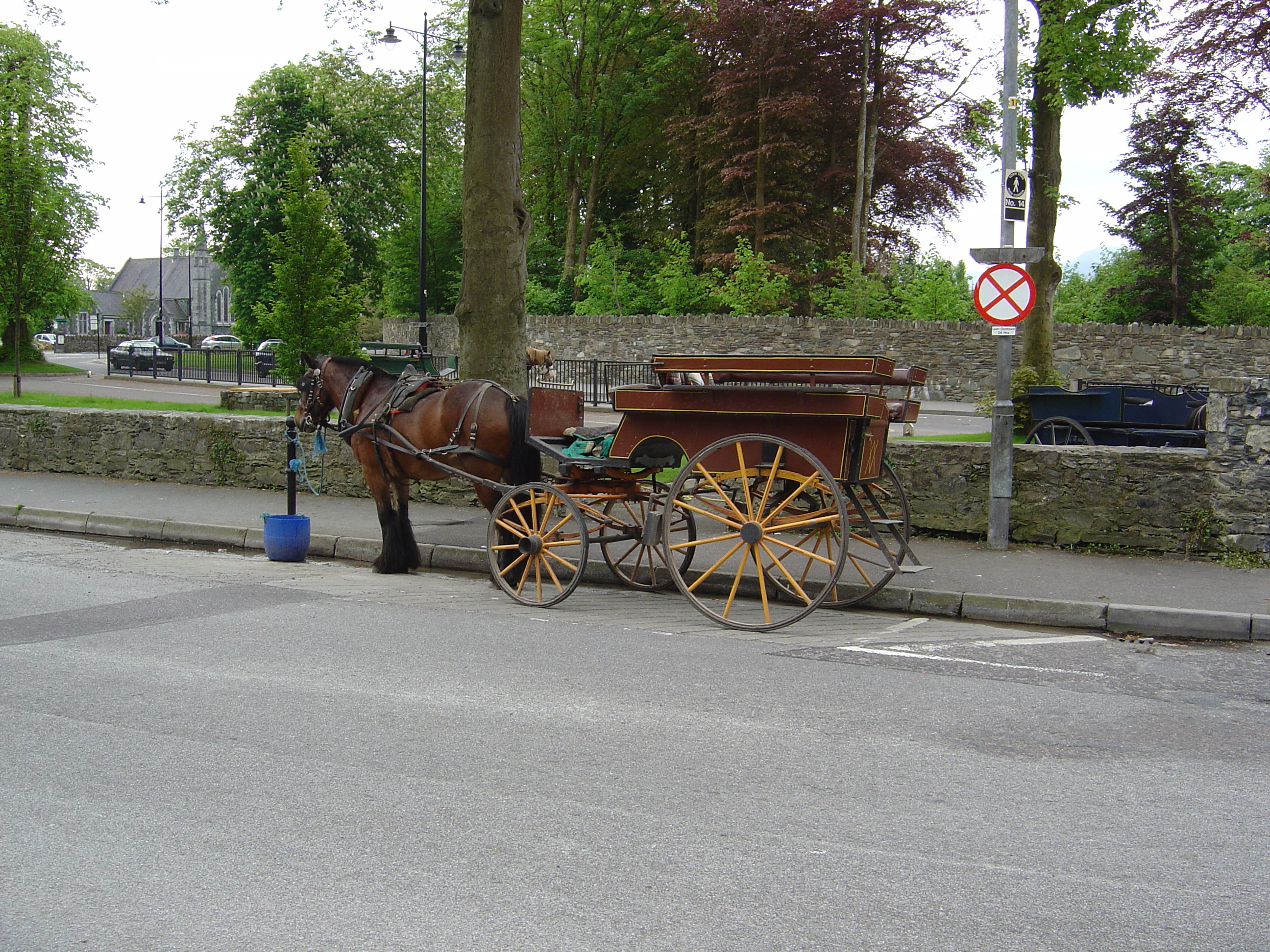Photo Irlande Kerry Killarney 2004-05 3