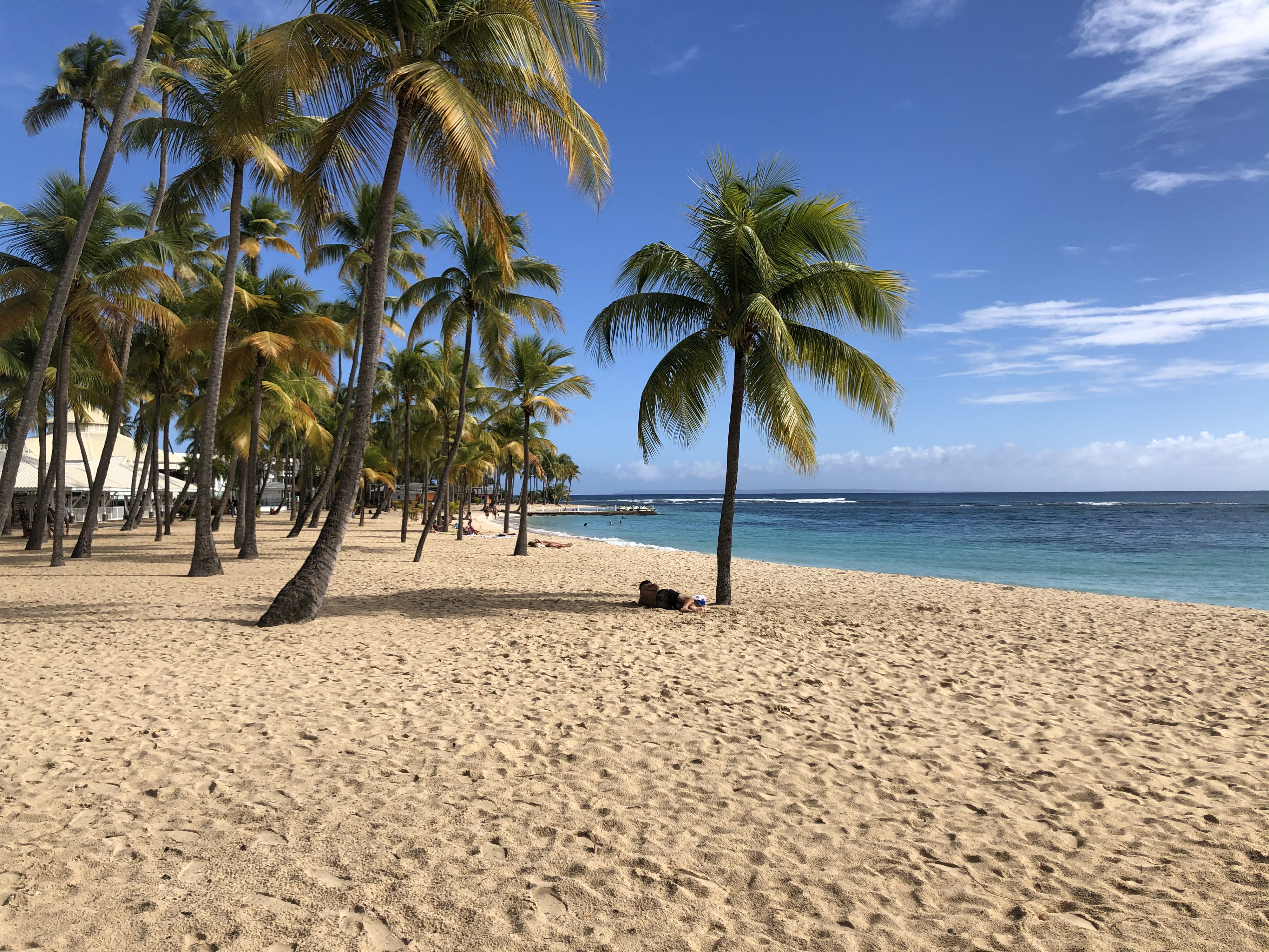 Photo Guadeloupe Plage de la Caravelle 2021-02 153