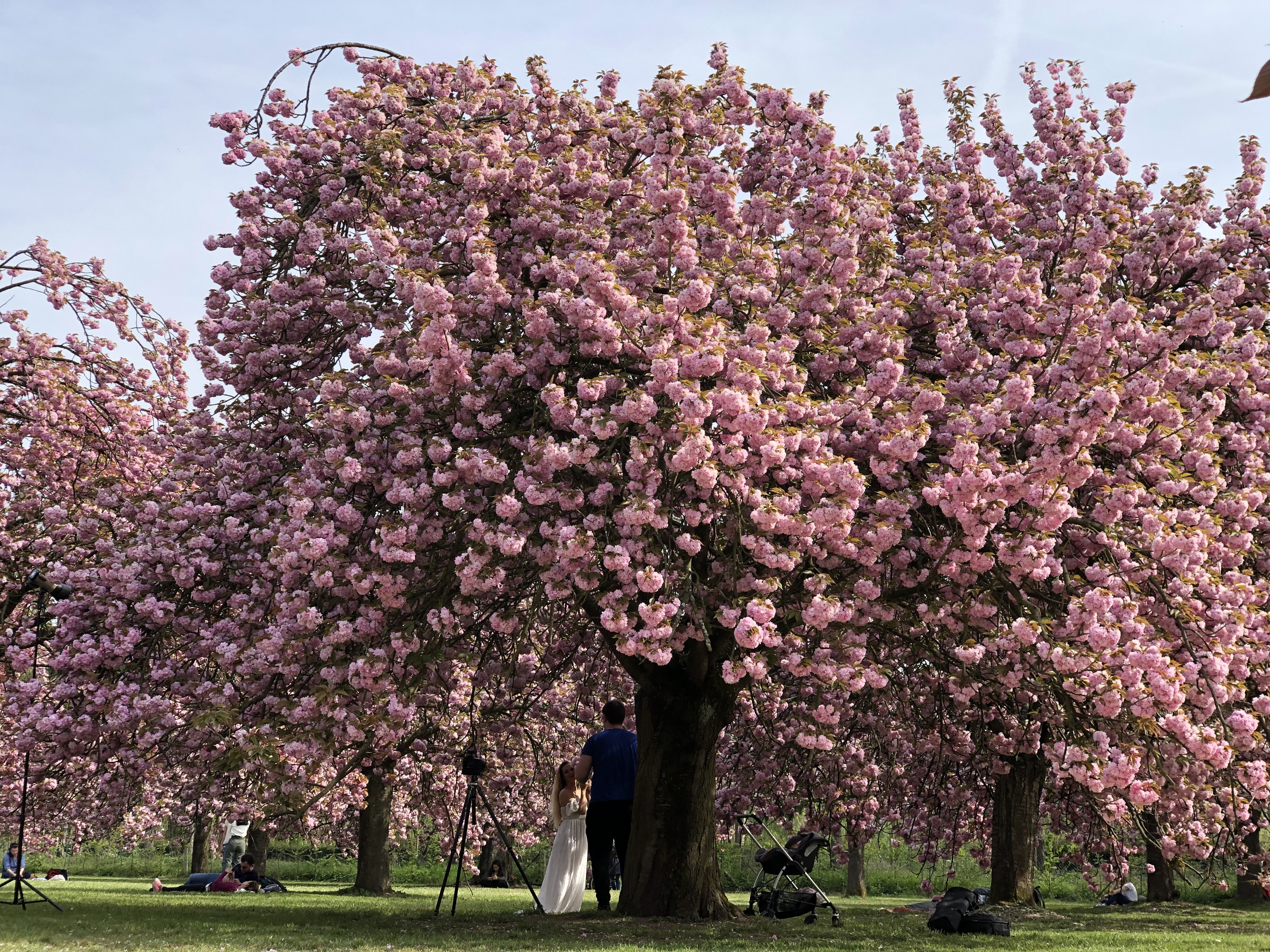 Photo France Parc de Sceaux 2019-04 31