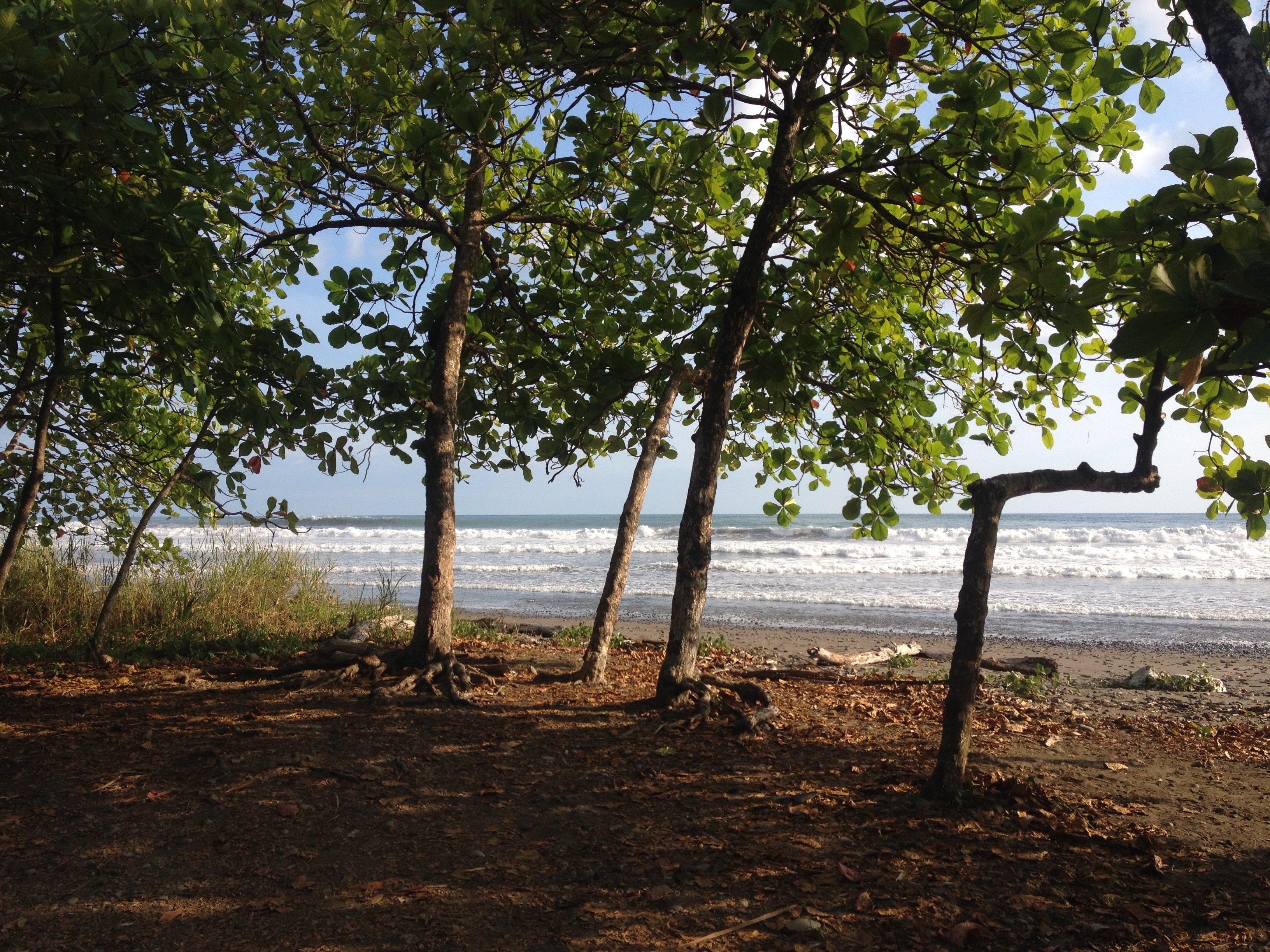 Photo Costa Rica Dominical 2015-03 45