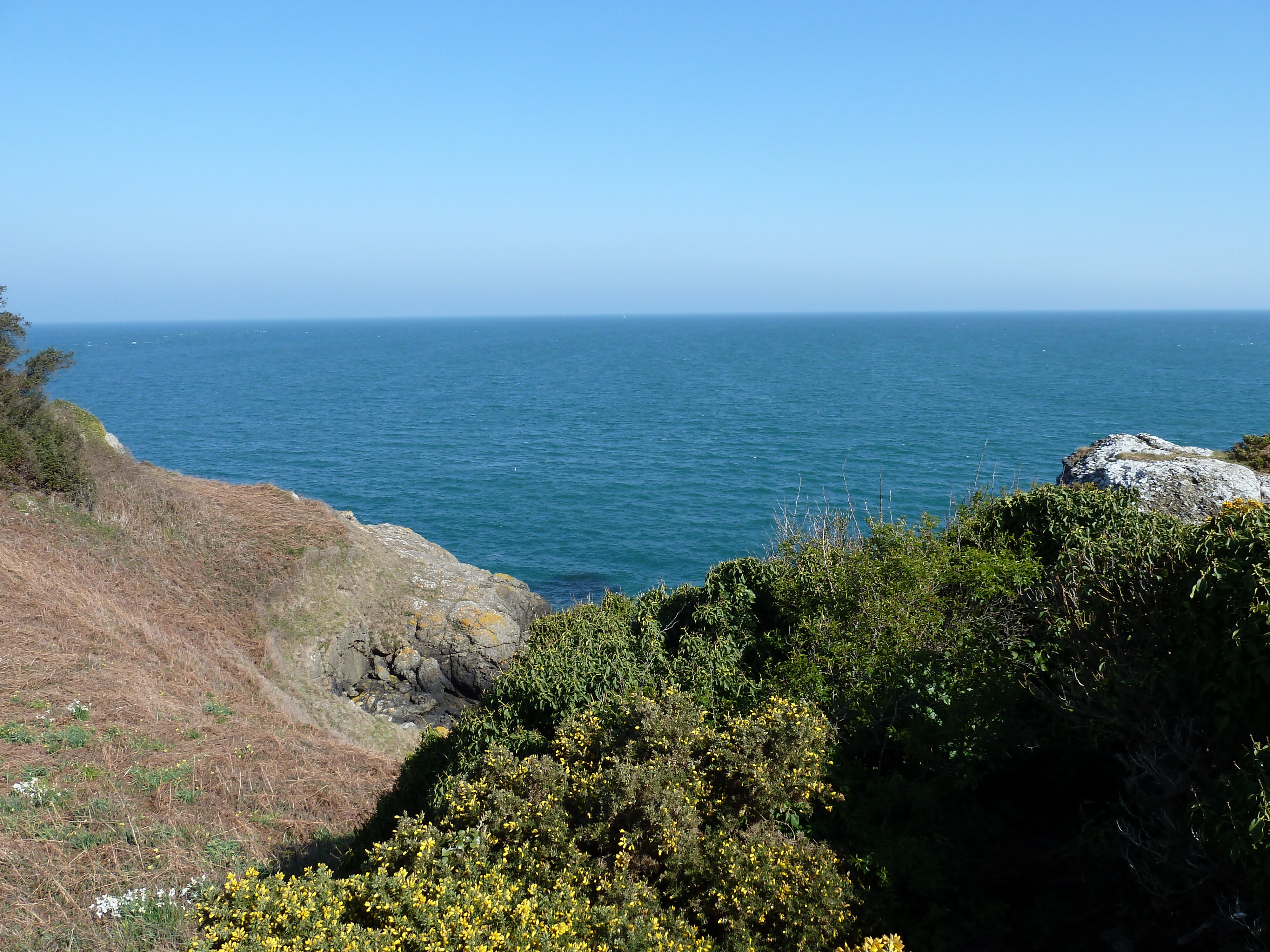 Photo Jersey 2010-04 207