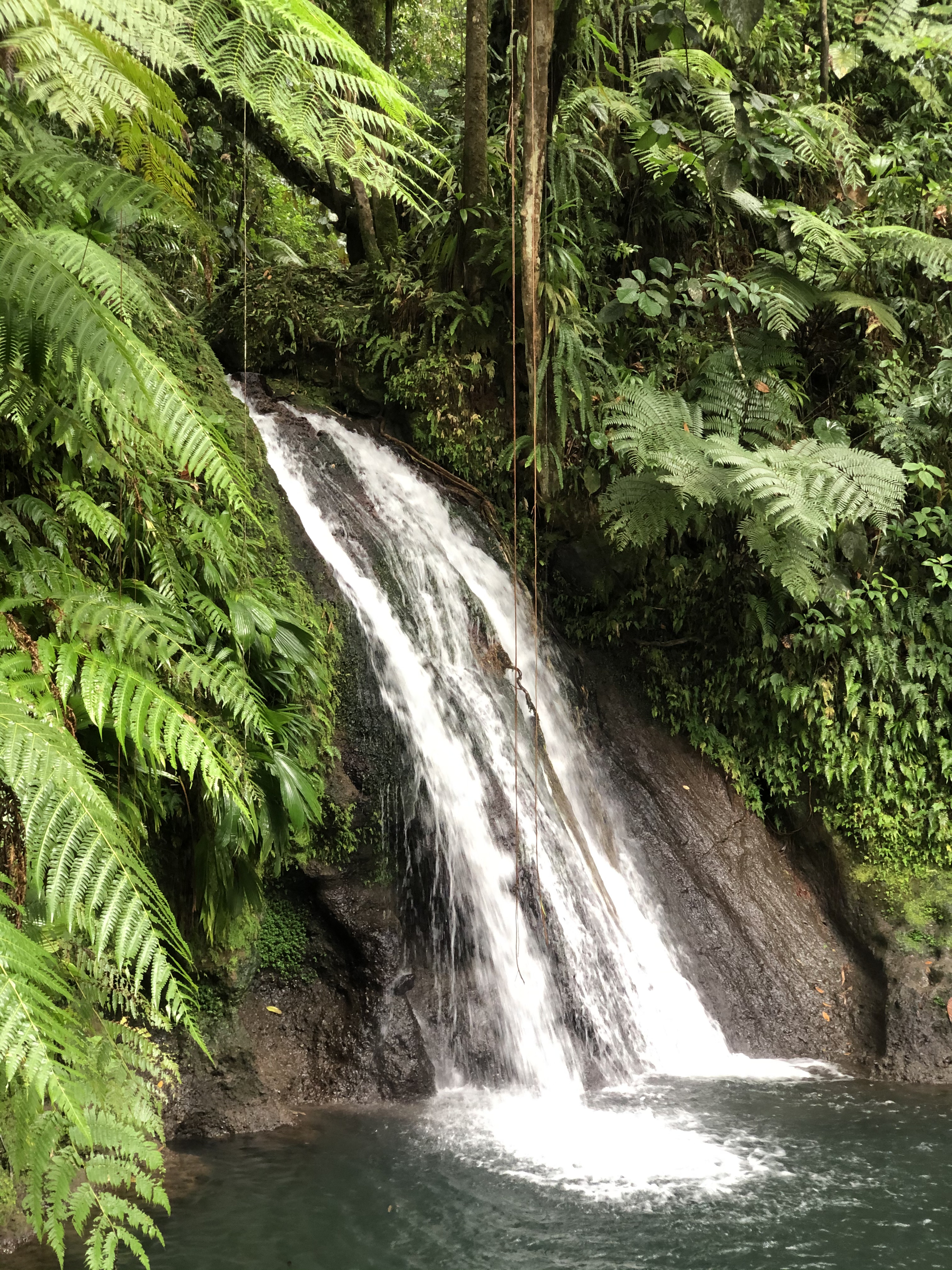 Photo Guadeloupe Cascade aux écrevisses 2021-02 11
