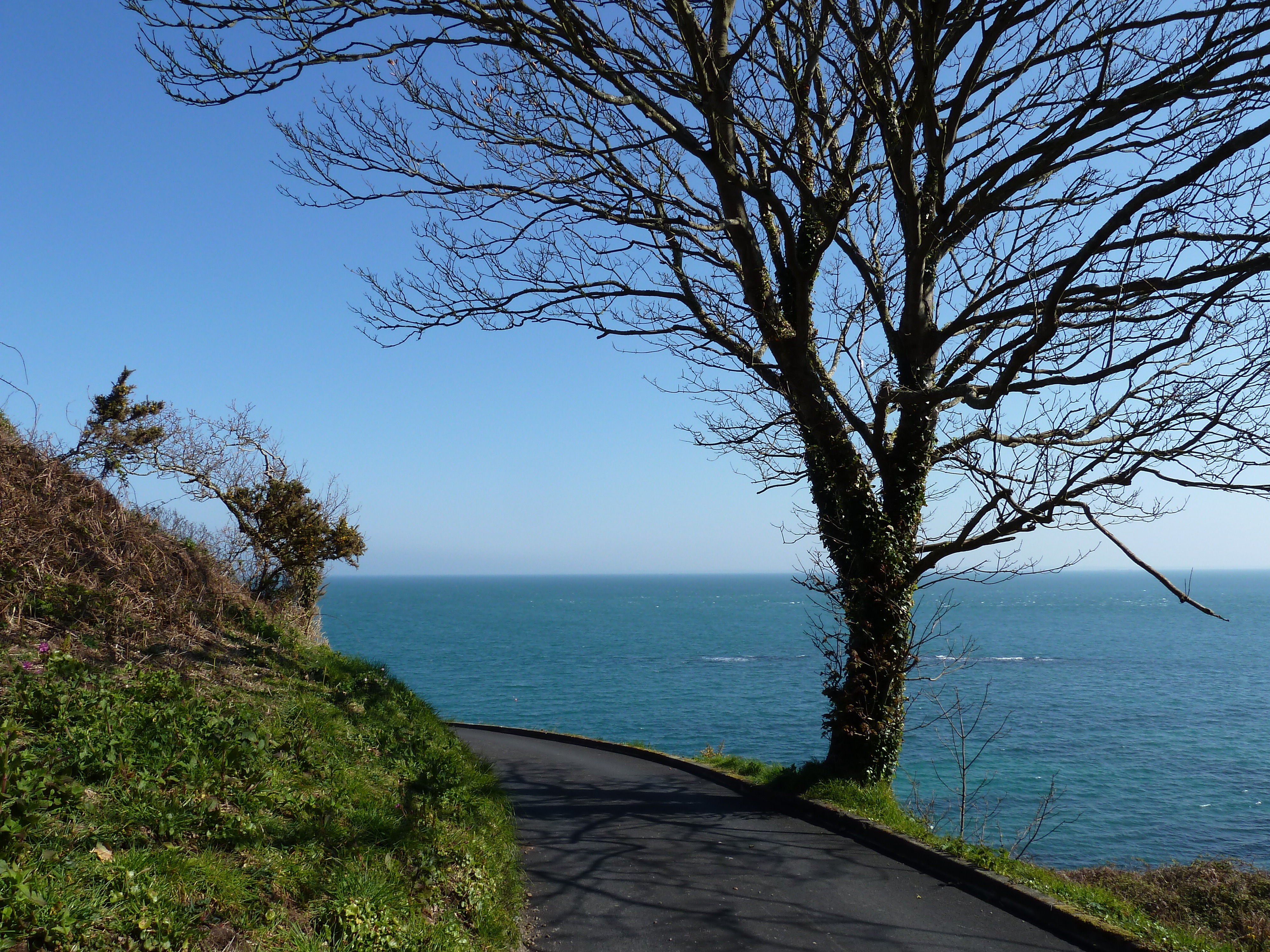 Photo Jersey 2010-04 185