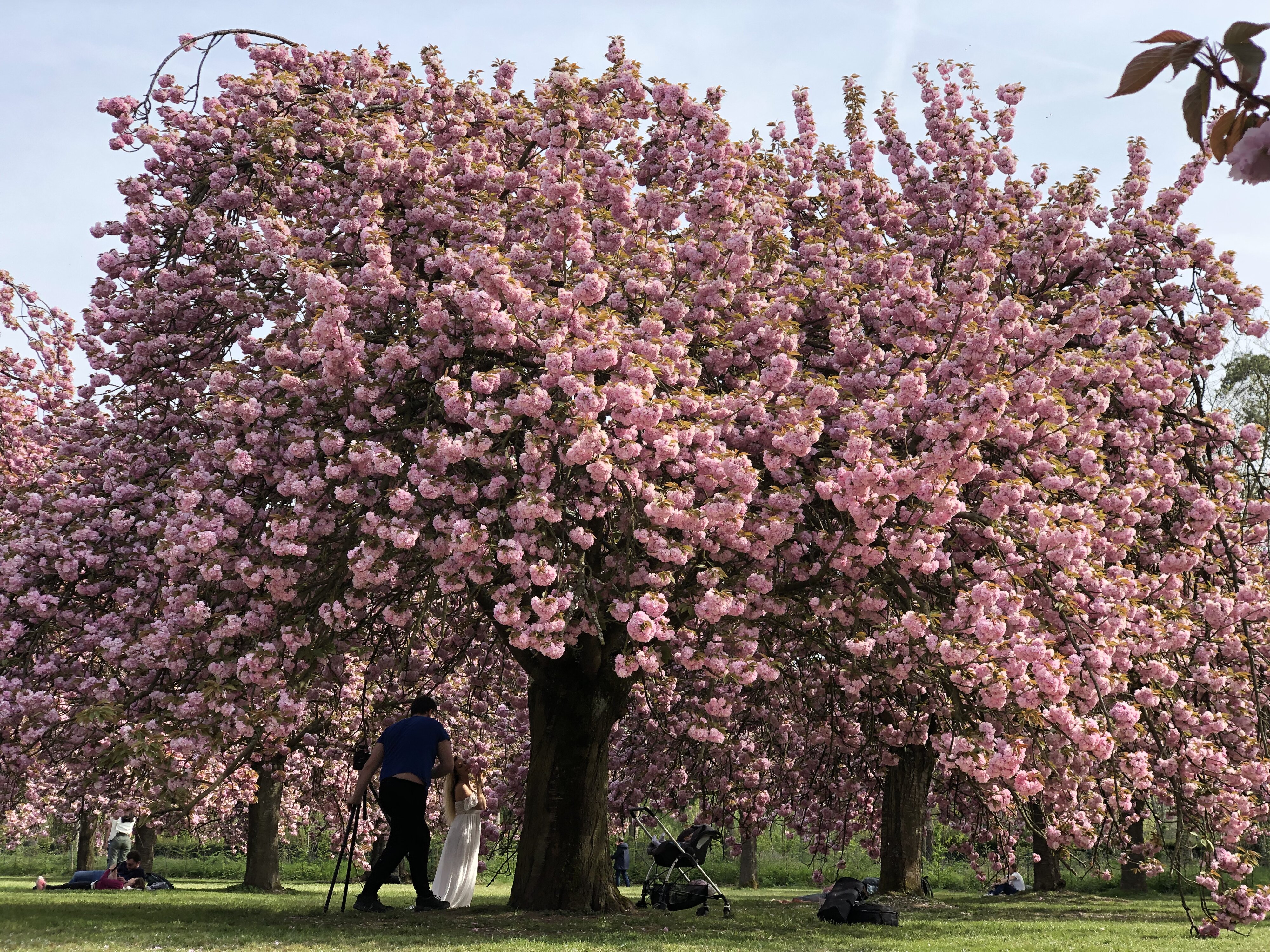 Photo France Parc de Sceaux 2019-04 37