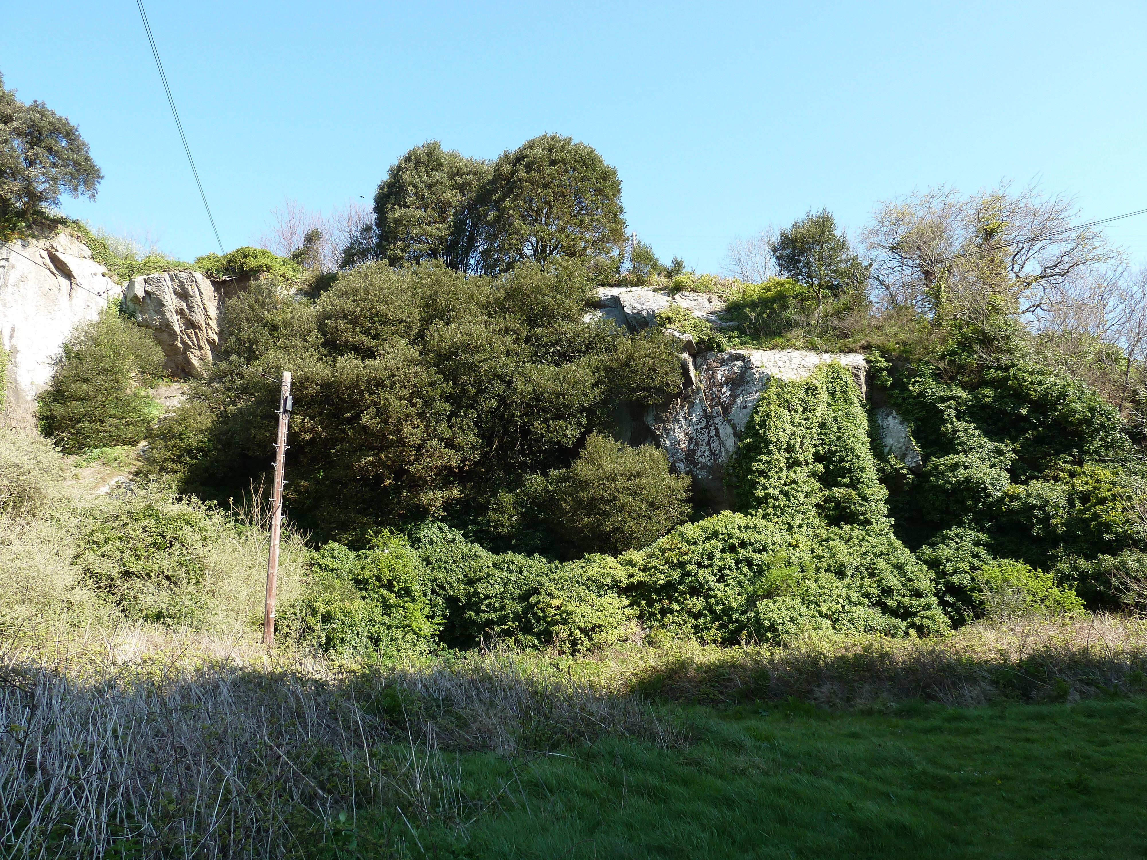 Photo Jersey 2010-04 143