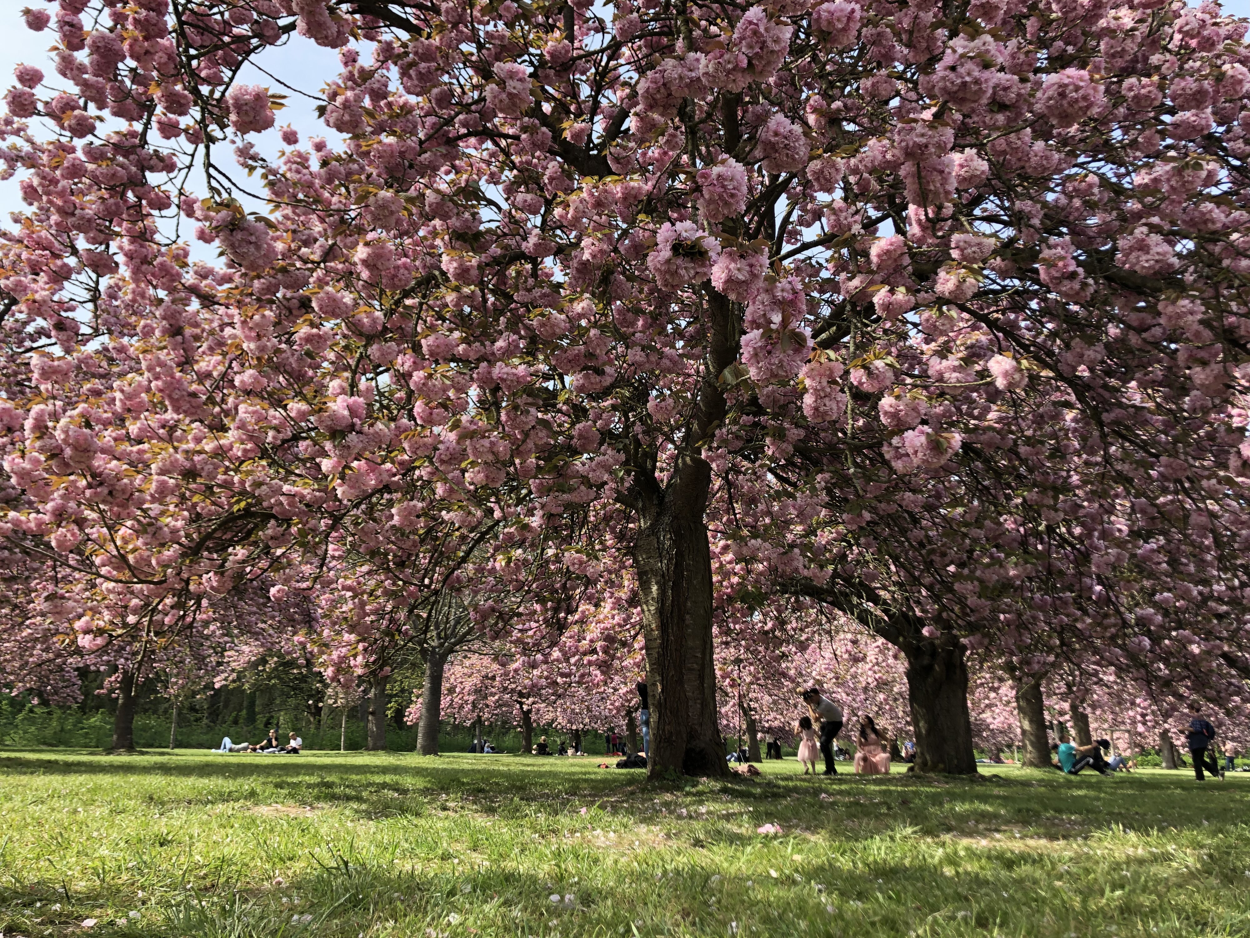 Photo France Parc de Sceaux 2019-04 47