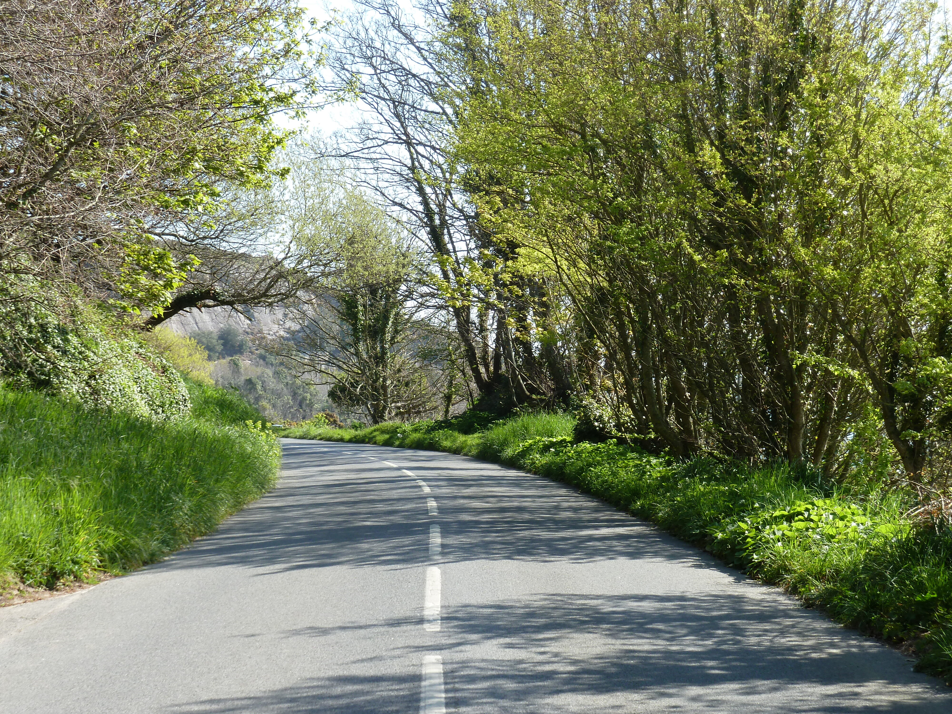 Photo Jersey 2010-04 134