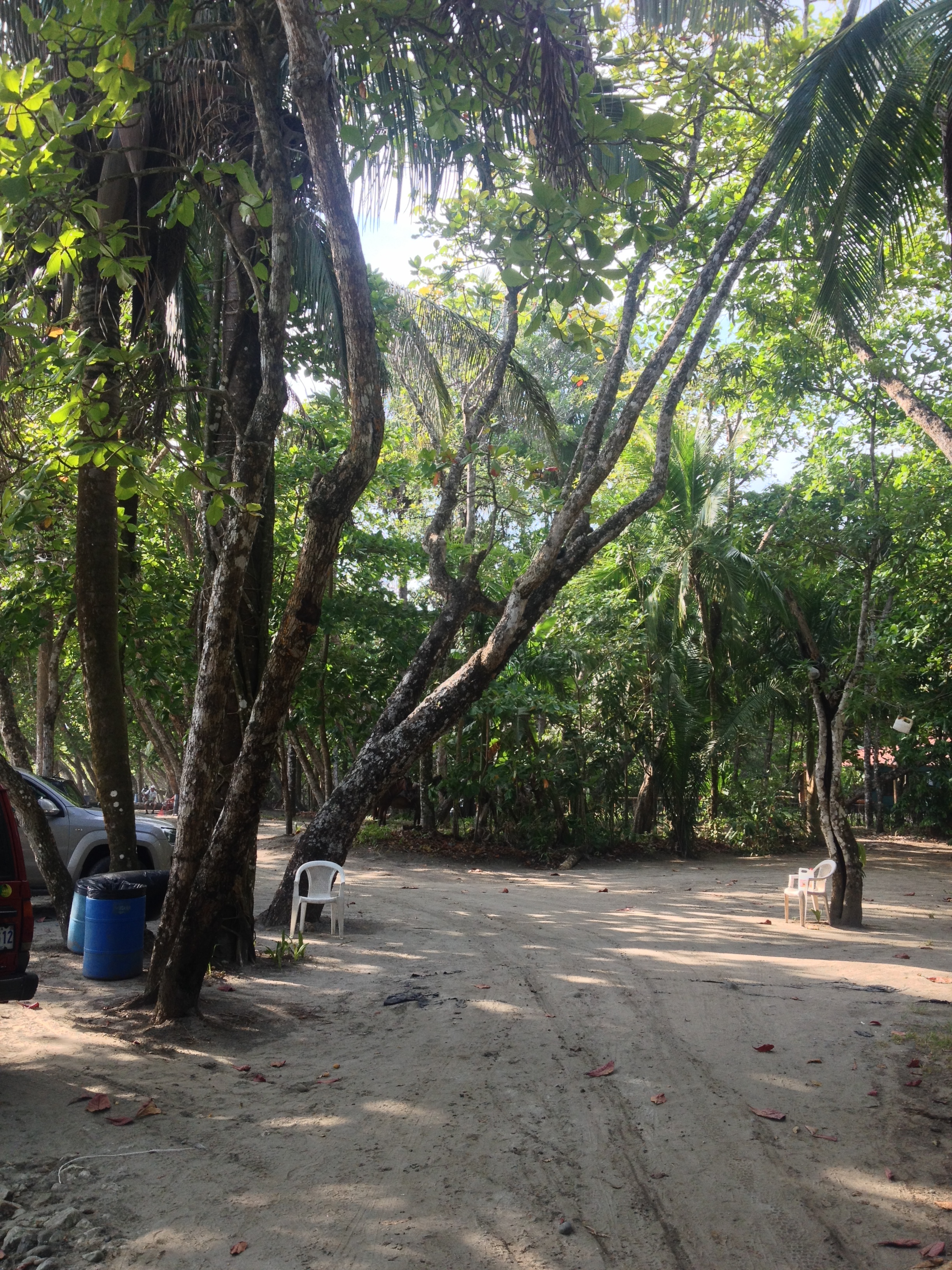 Photo Costa Rica Parc Manuel Antonio 2015-03 169
