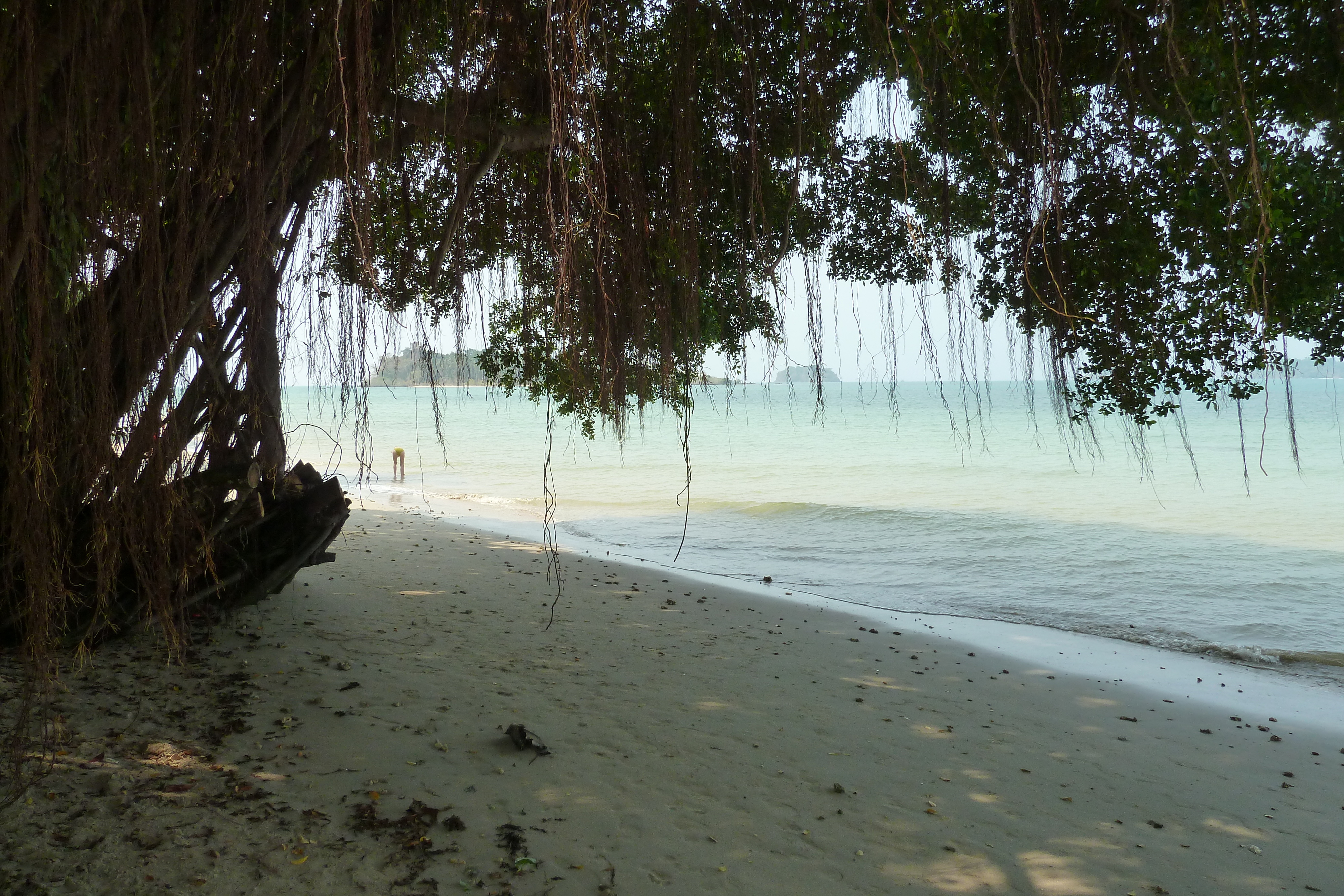 Photo Thaïlande Ko Chang Plage de Klong Prao 2011-02 61