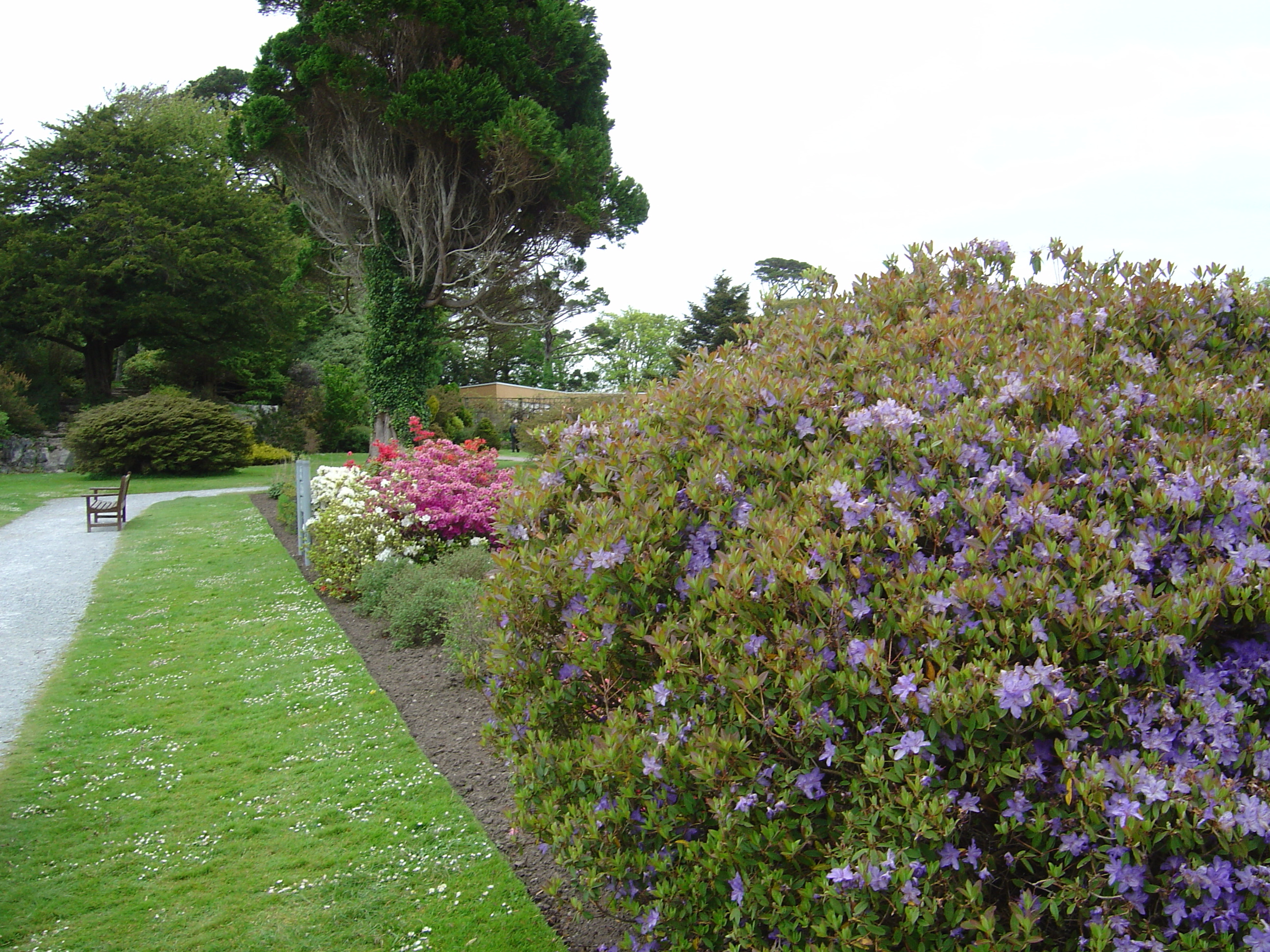 Photo Irlande Kerry Parc National de Killarney Muckross House 2004-05 6