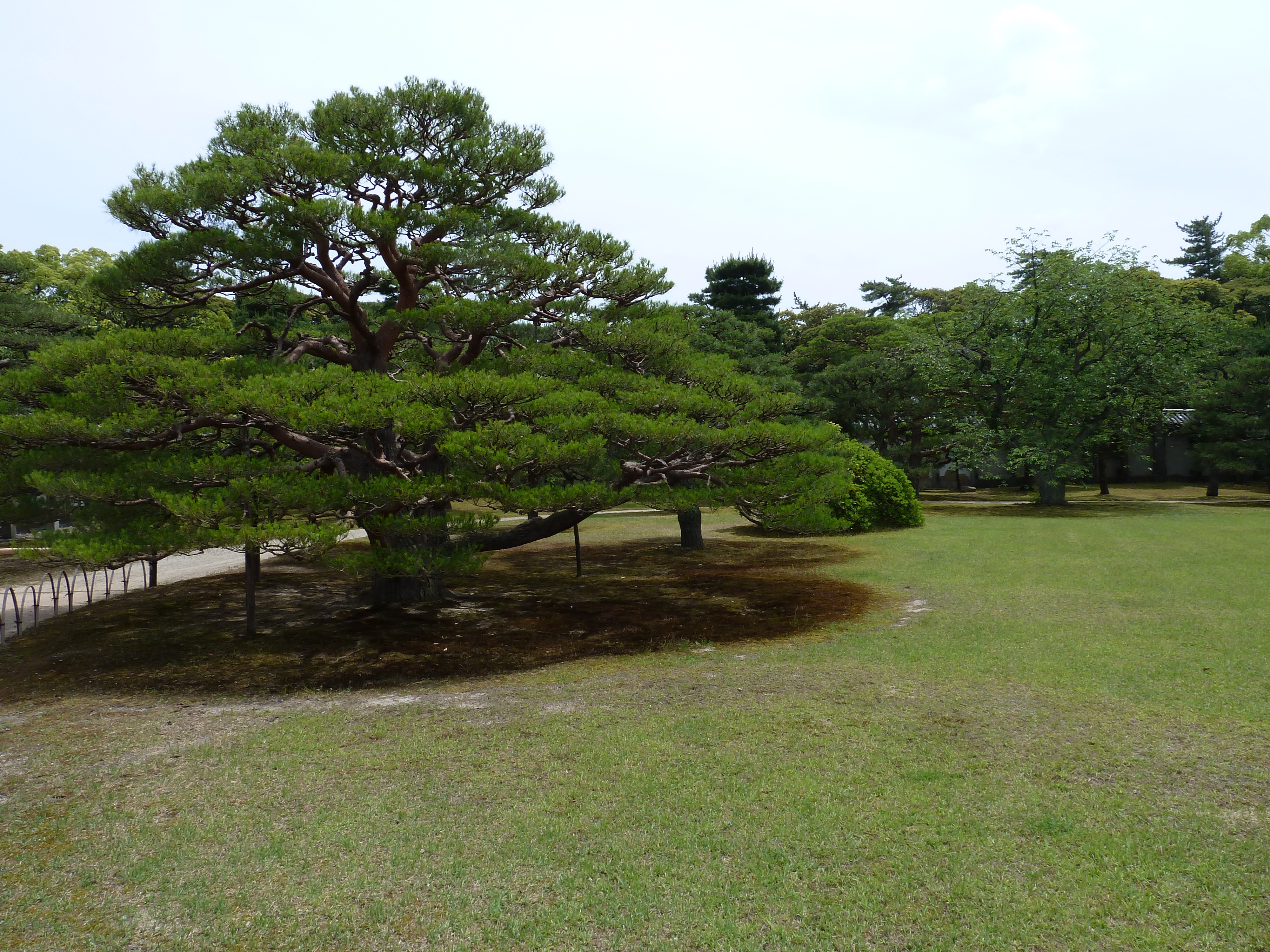Photo Japon Kyoto Château Nijo 2010-06 64