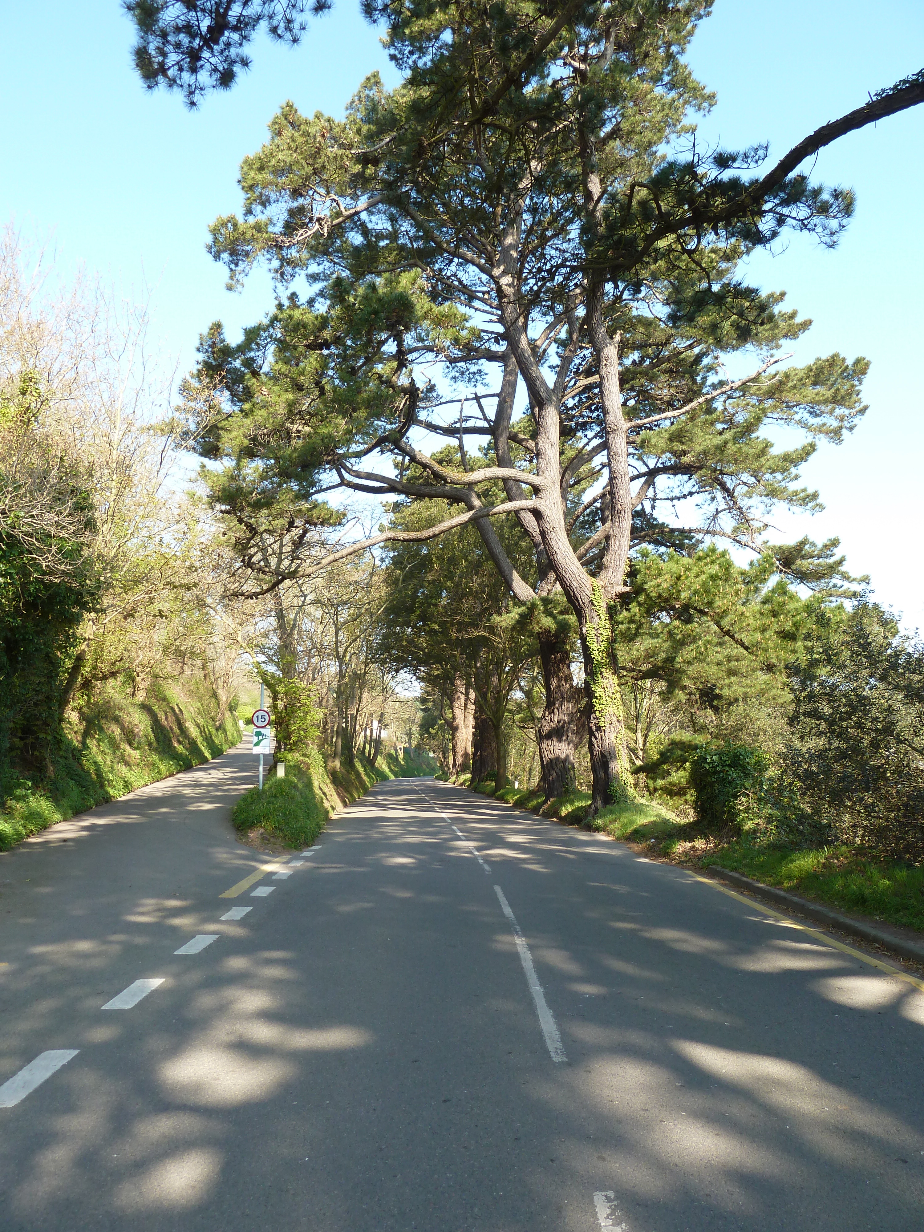 Photo Jersey 2010-04 109