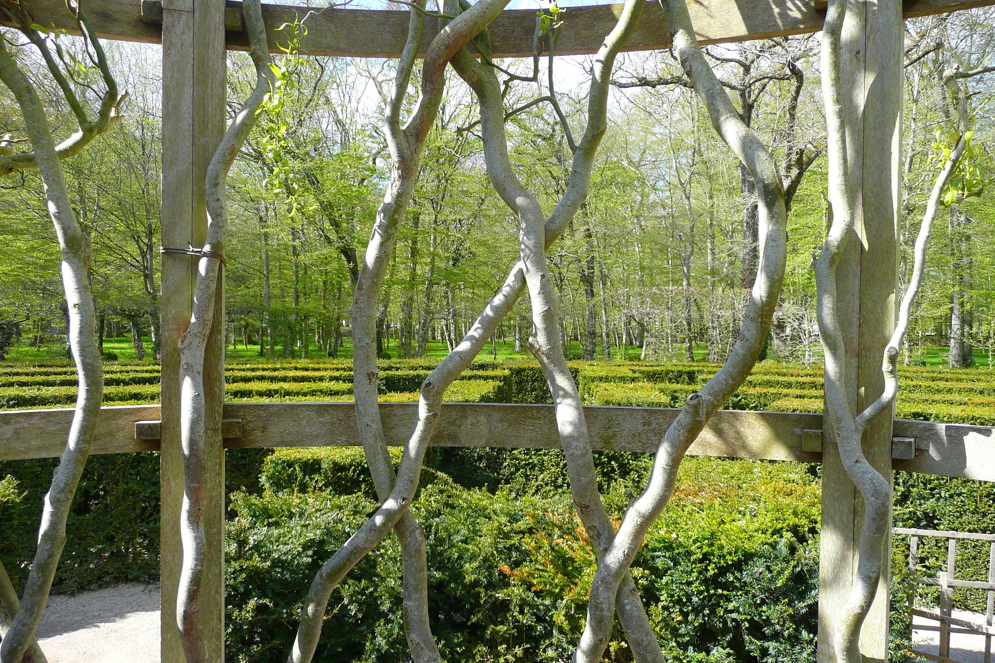 Photo France Château de Chenonceau Jardins de Chenonceau 2008-04 79