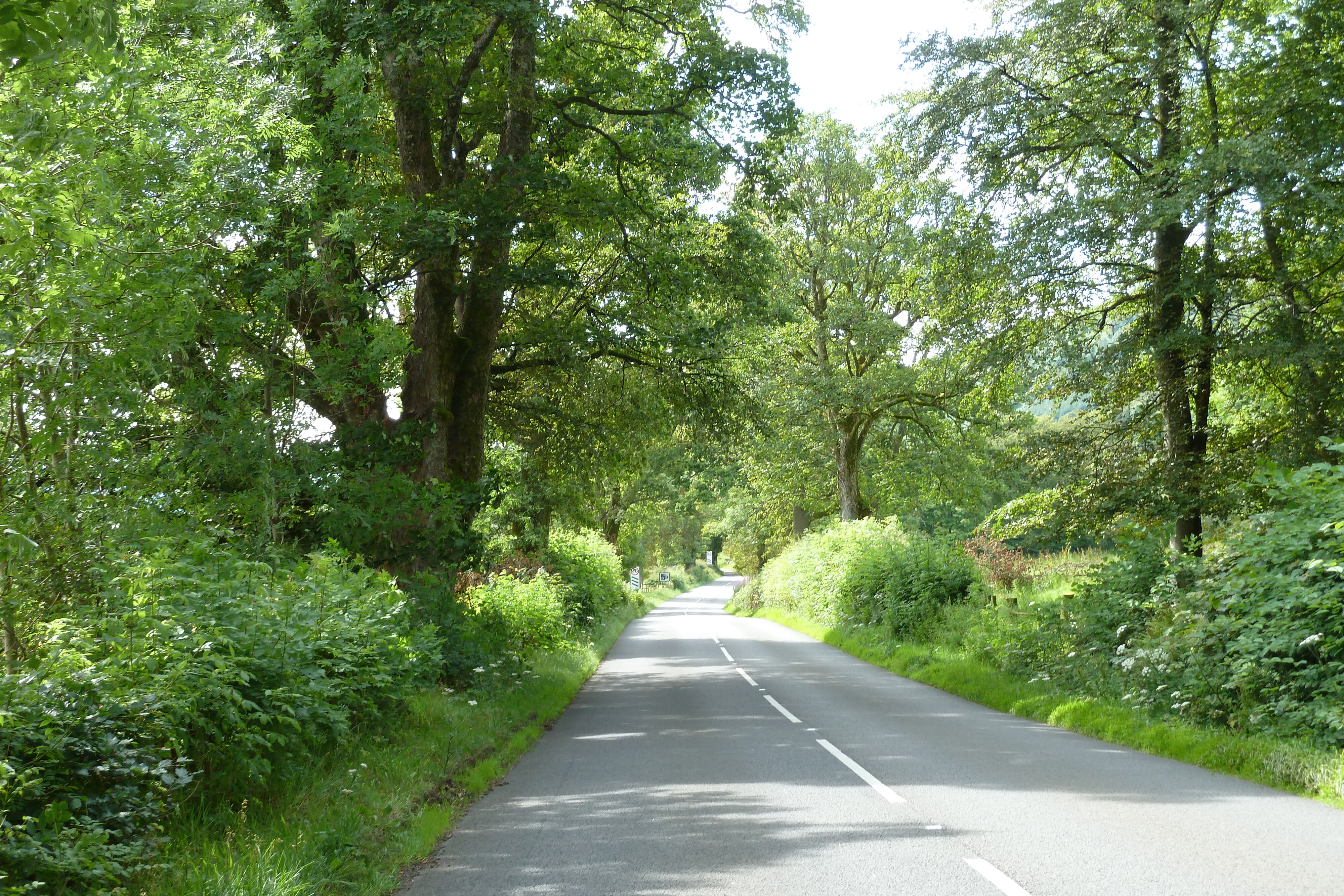 Photo Royaume-Uni Les Trossachs 2011-07 0
