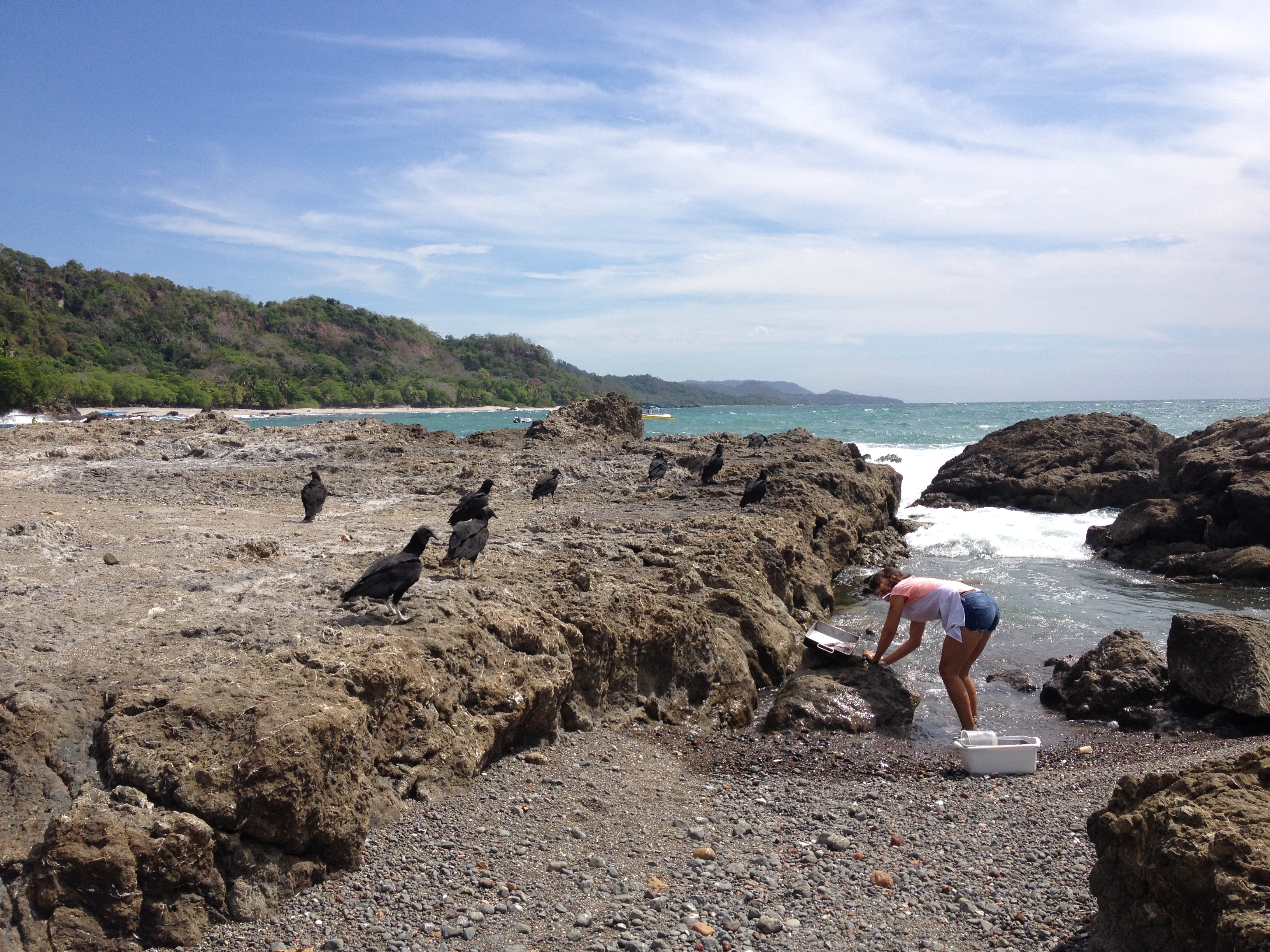 Photo Costa Rica Montezuma 2015-03 447