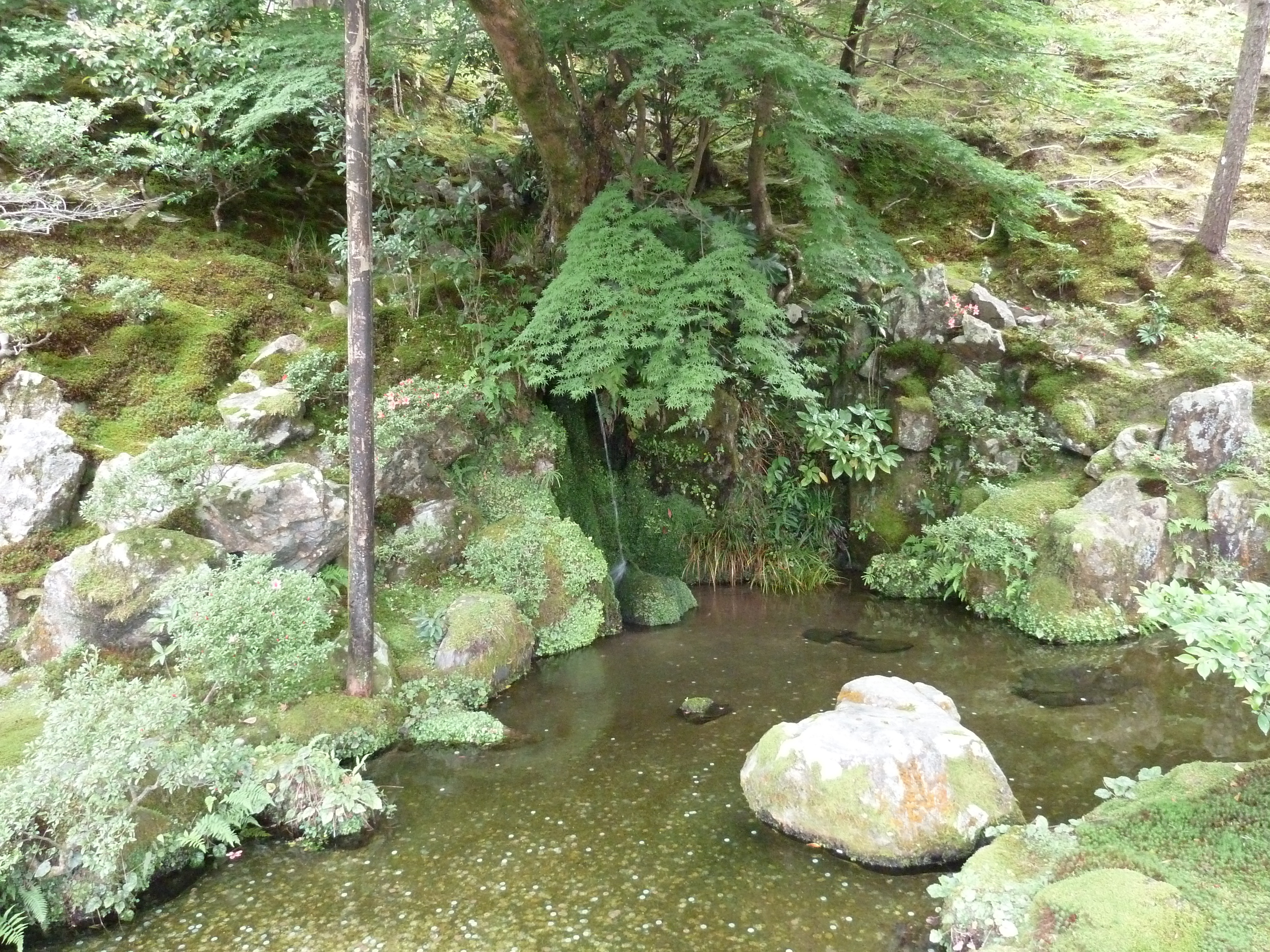 Photo Japon Kyoto Temple Ginkaku-ji (Pavillon d'argent) 2010-06 48