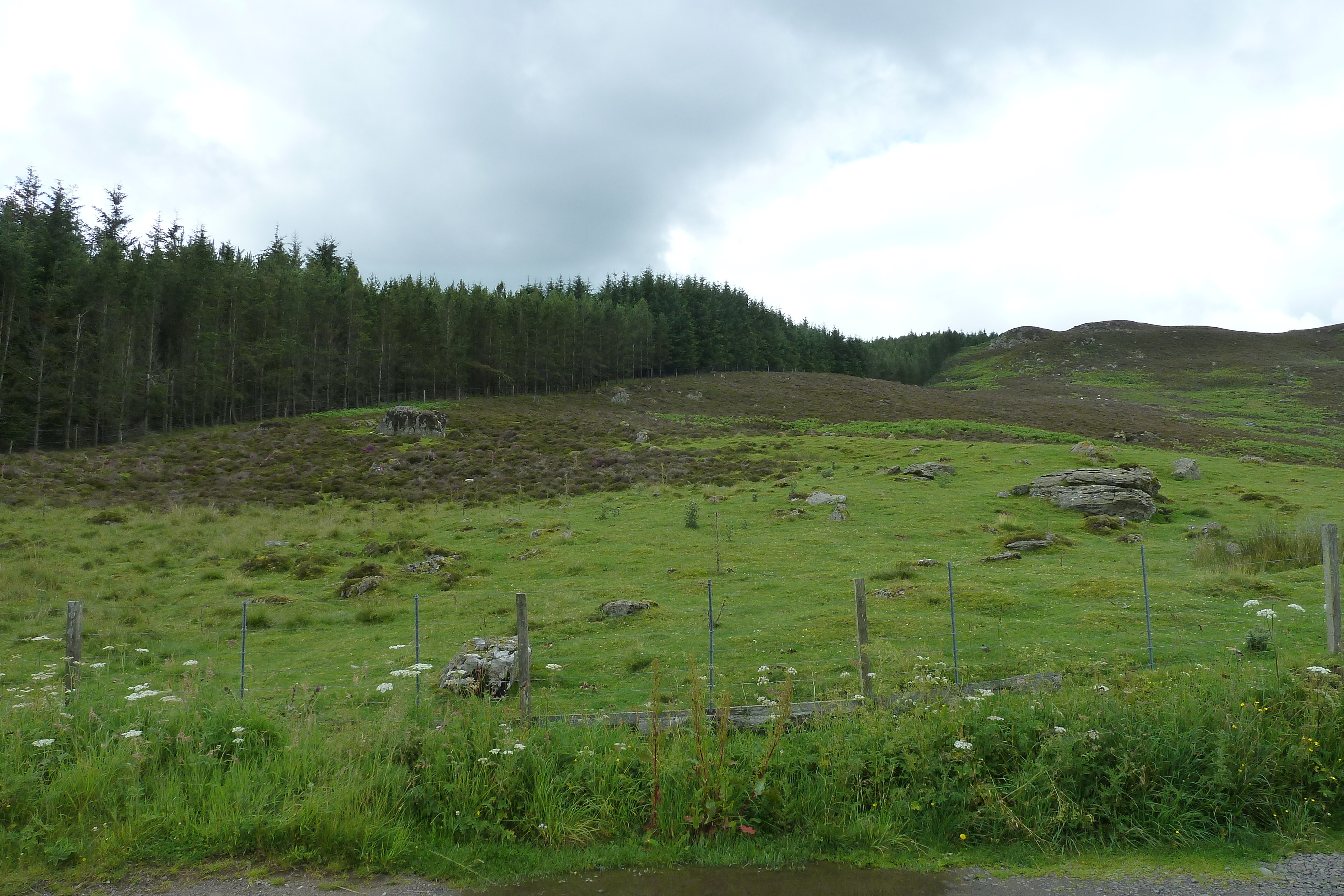 Photo Royaume-Uni Les Cairngorms 2011-07 0