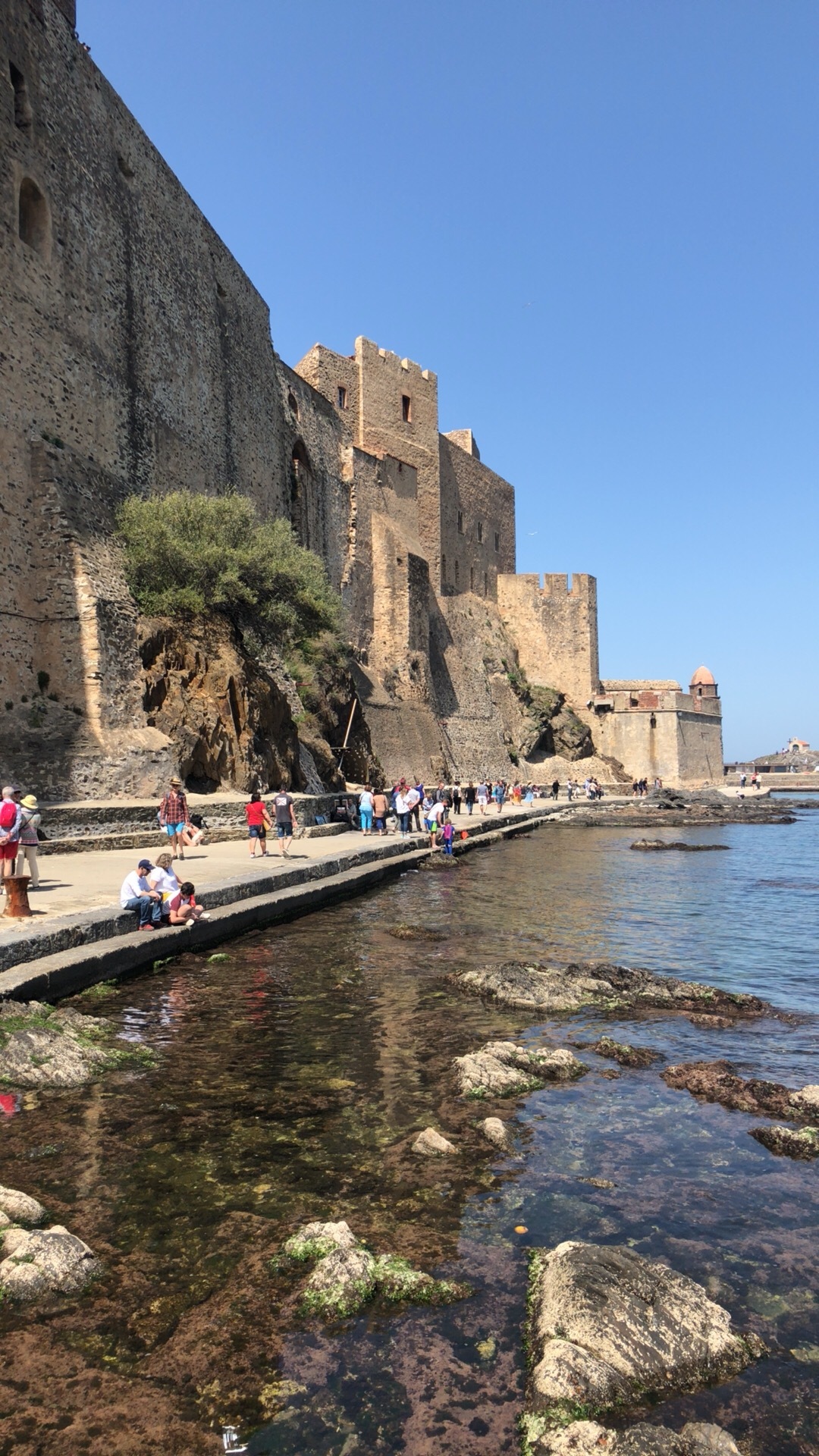 Photo France Collioure 2018-04 124