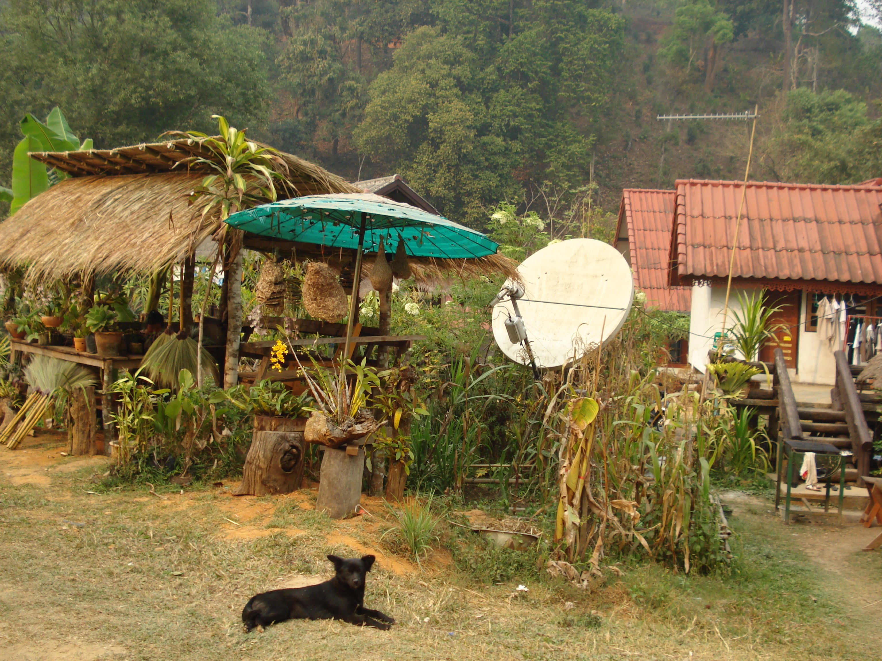 Photo Thaïlande Route de Chiang Mai à Pai 2007-02 74
