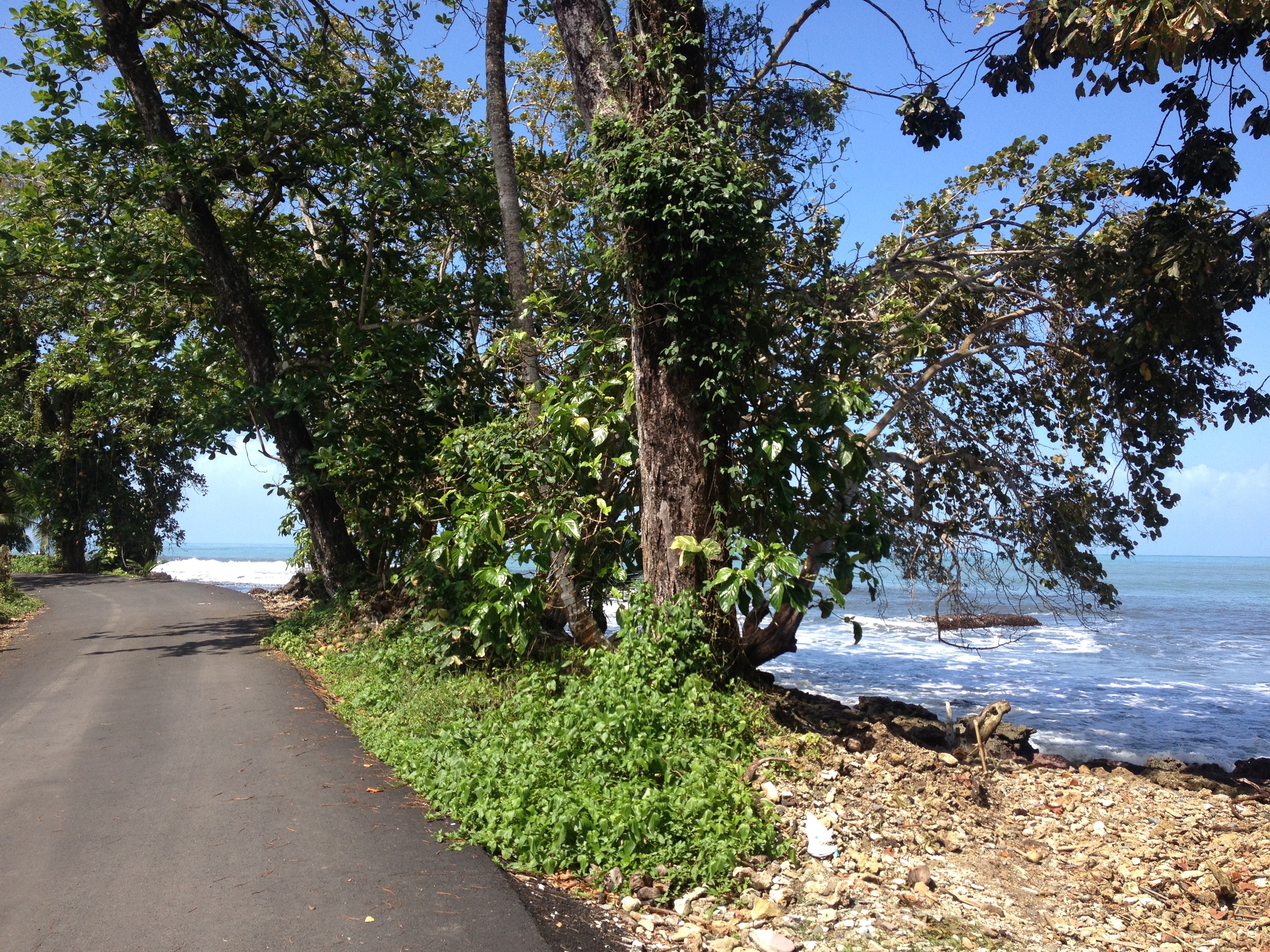 Photo Costa Rica Cahuita 2015-03 273