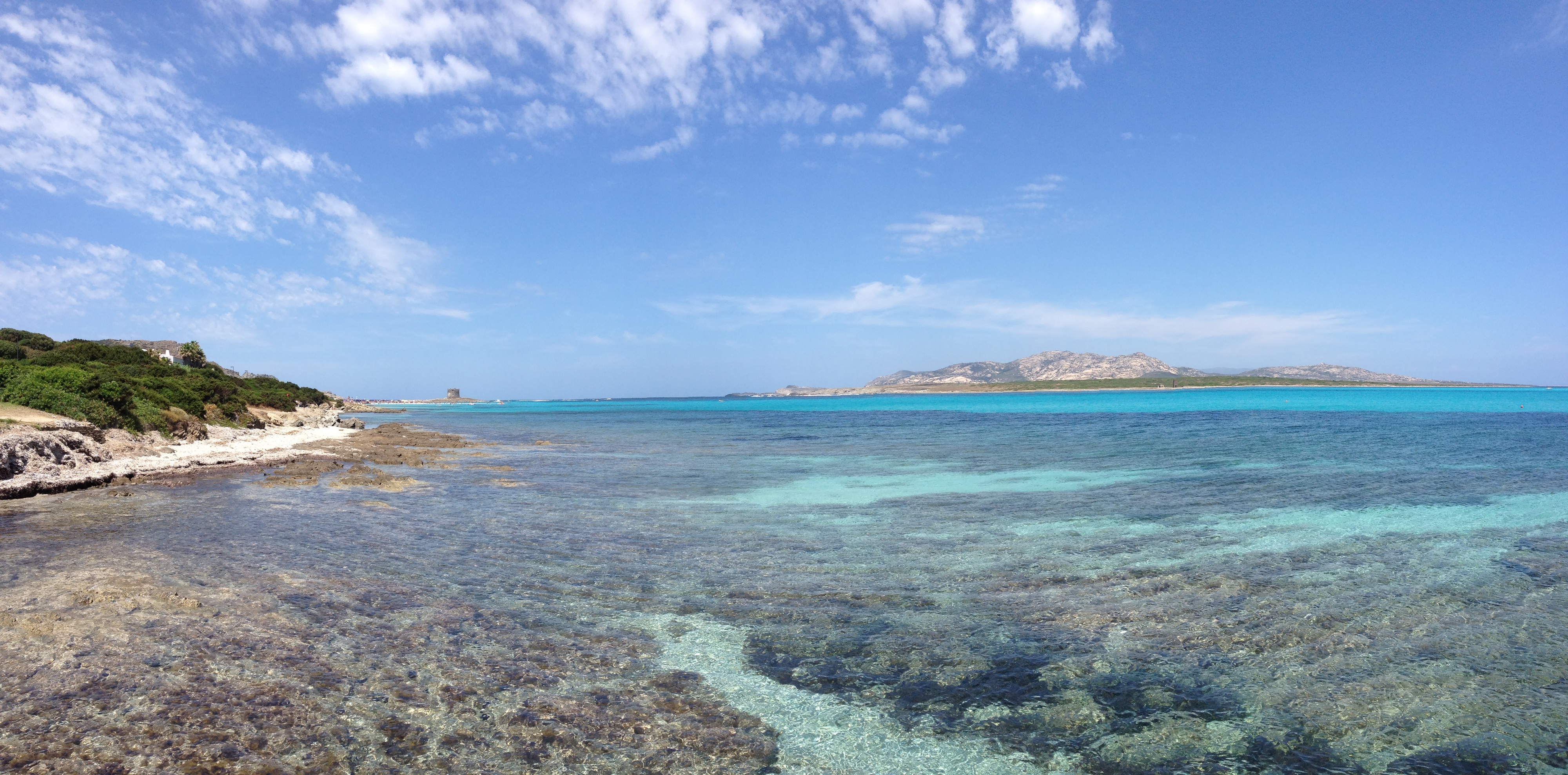 Photo Italie Sardaigne Capo del Falcone 2015-06 65
