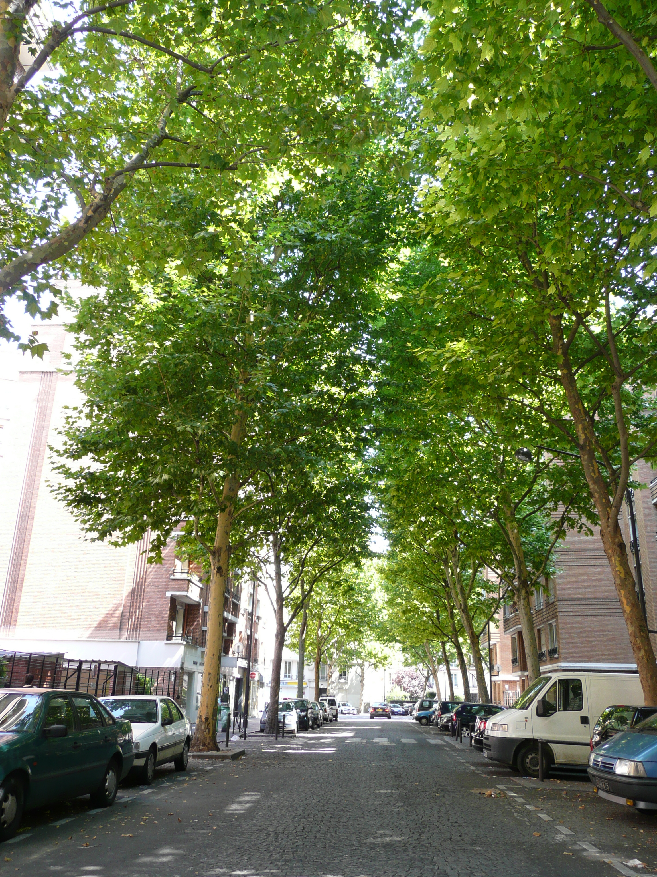 Photo France Paris Maréchaux ouest de Paris 2007-08 22