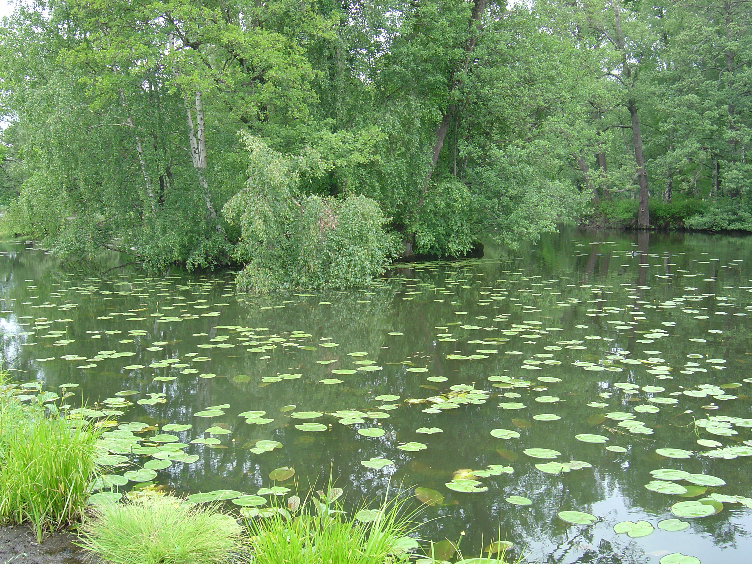 Photo Suède Drottningholm 2005-06 12