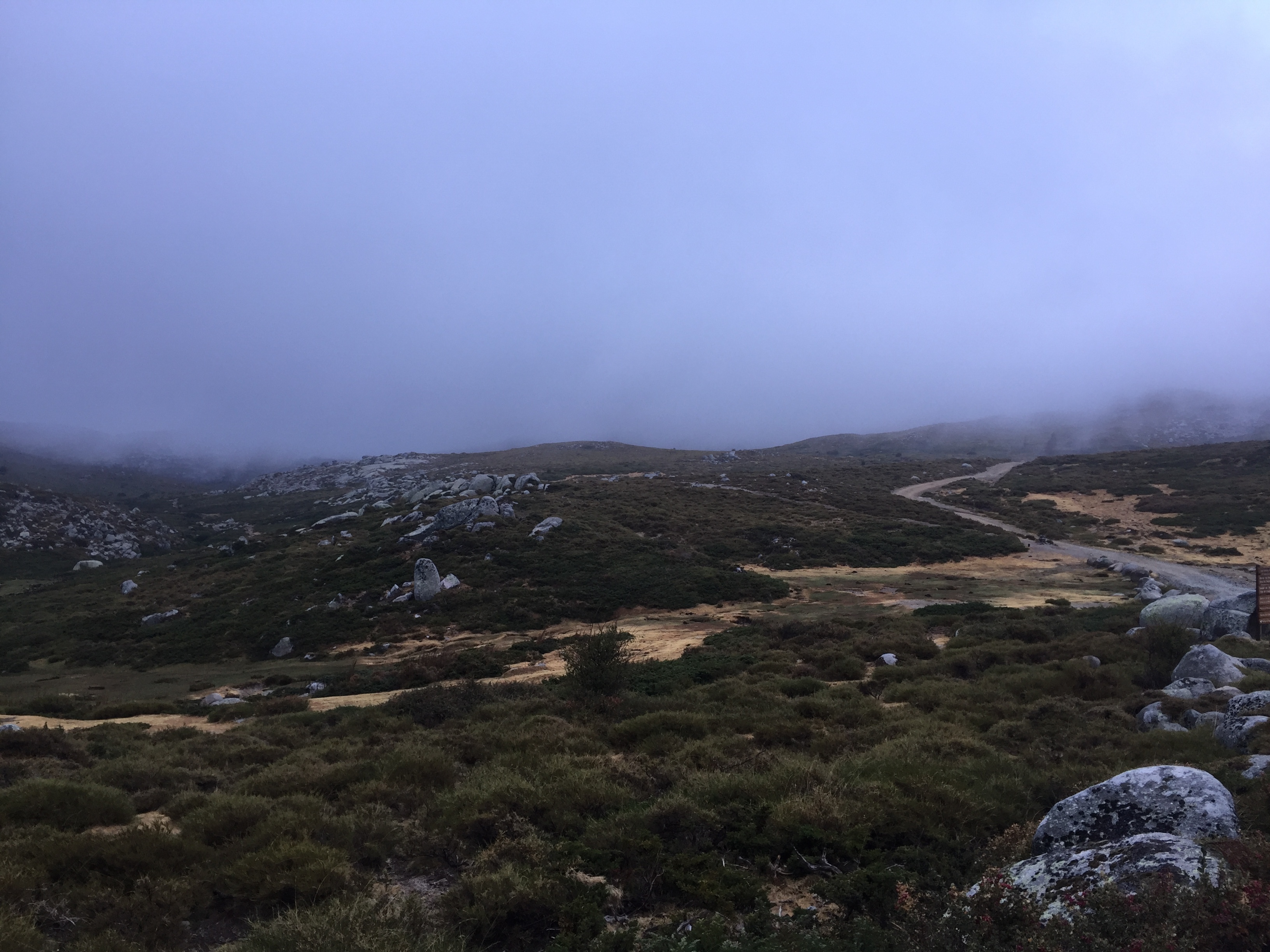 Photo France Corse Alta Rocca 2017-09 12