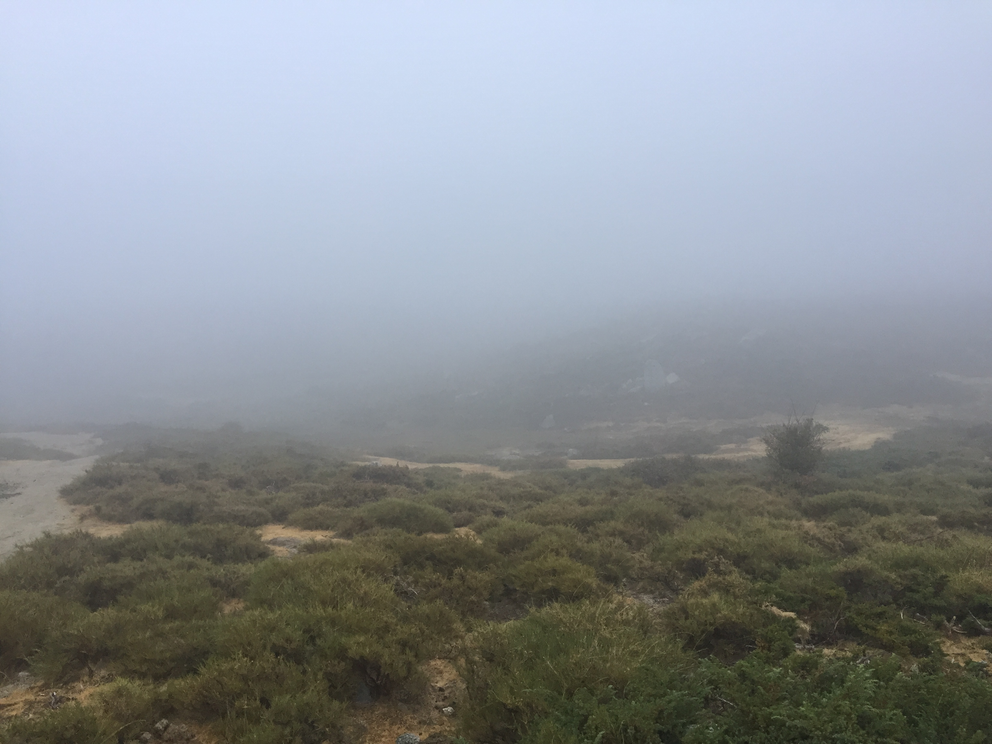Photo France Corse Alta Rocca 2017-09 4