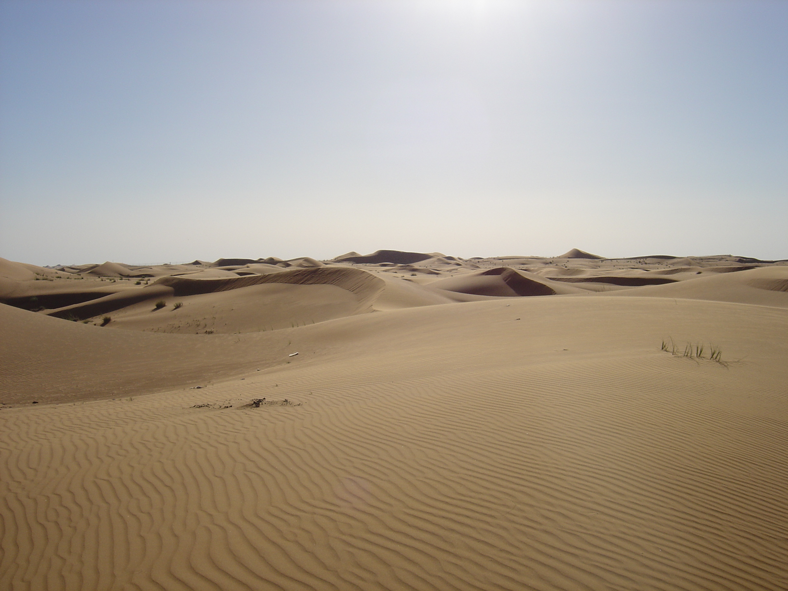 Photo Émirats arabes unis Route de Dubai à Al Ain 2005-03 20