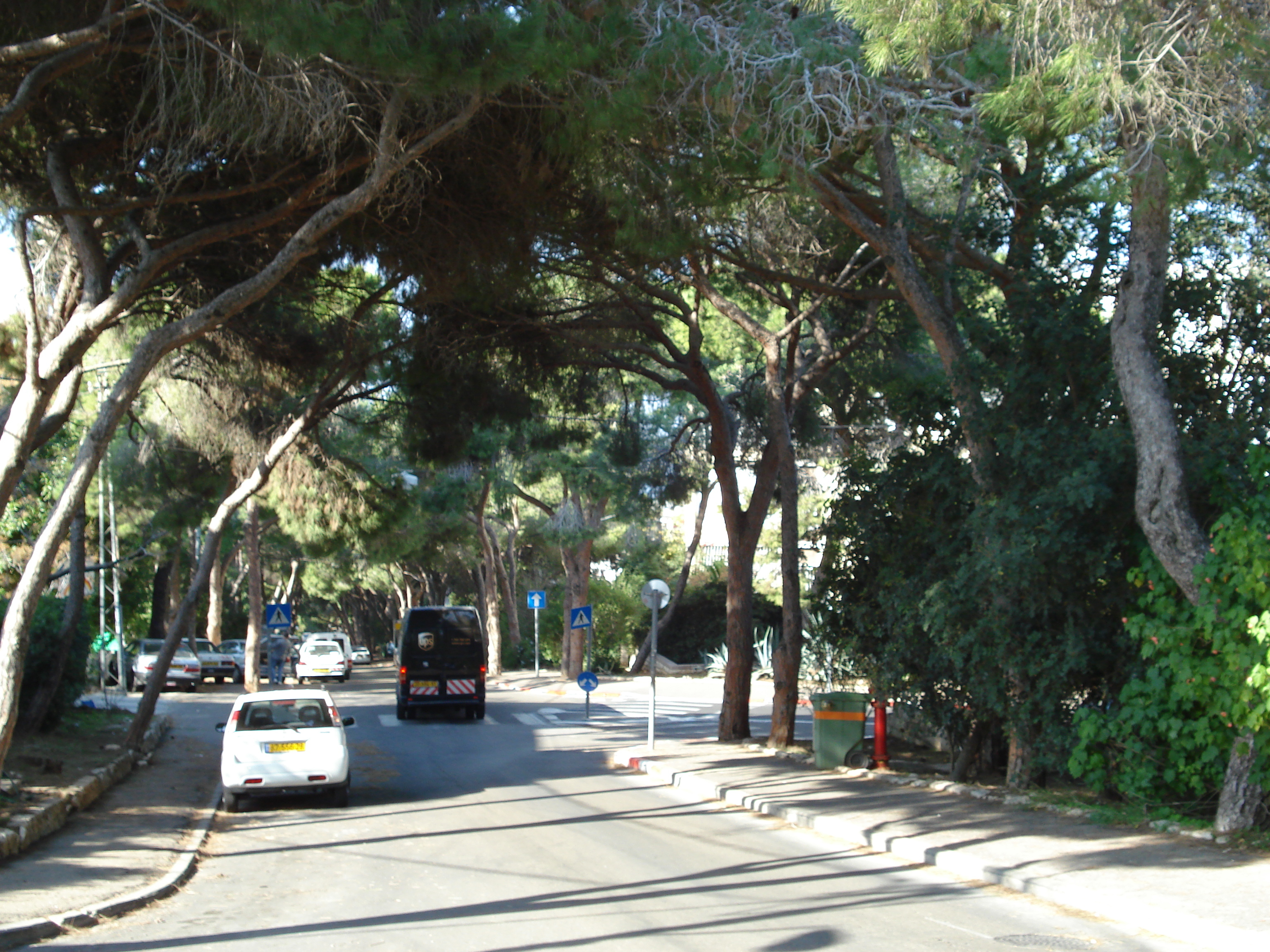 Photo Israel Haifa Carmel 2006-12 69