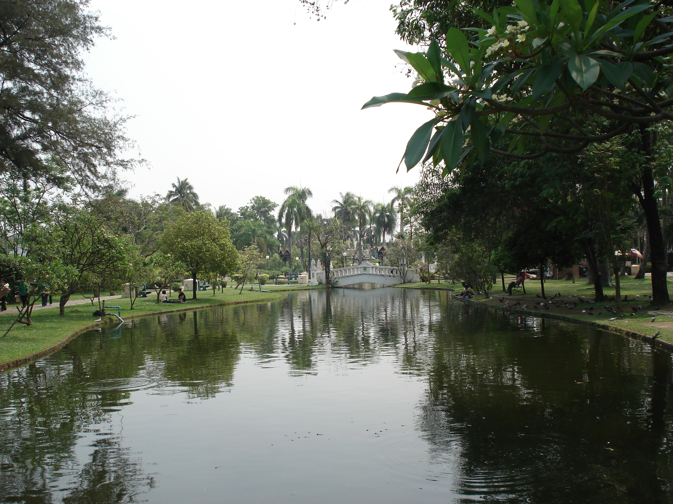 Photo Thaïlande Chiang Mai Centre(intra Canal) Jardin Buak Had 2006-04 0