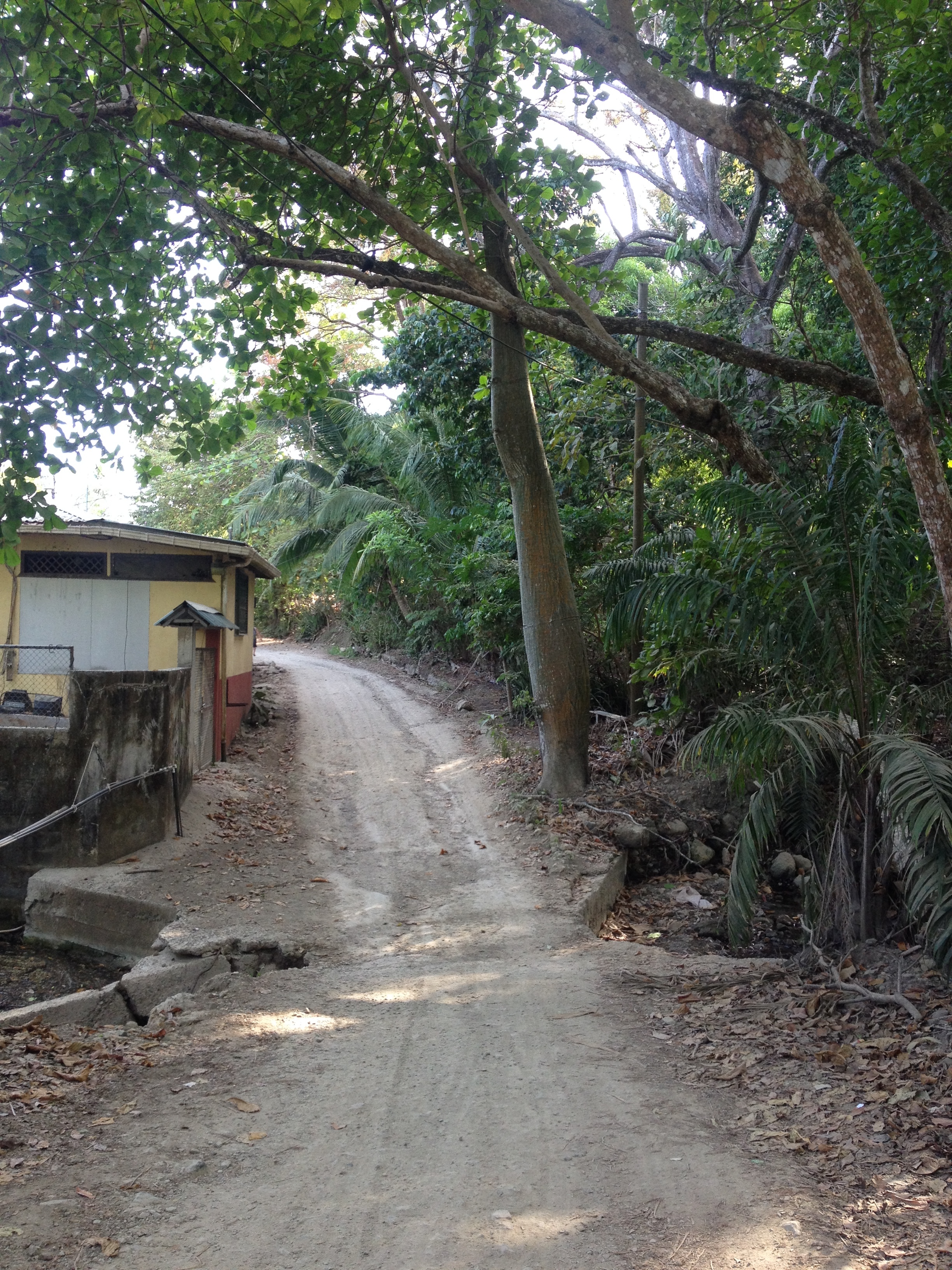 Photo Costa Rica Montezuma 2015-03 236