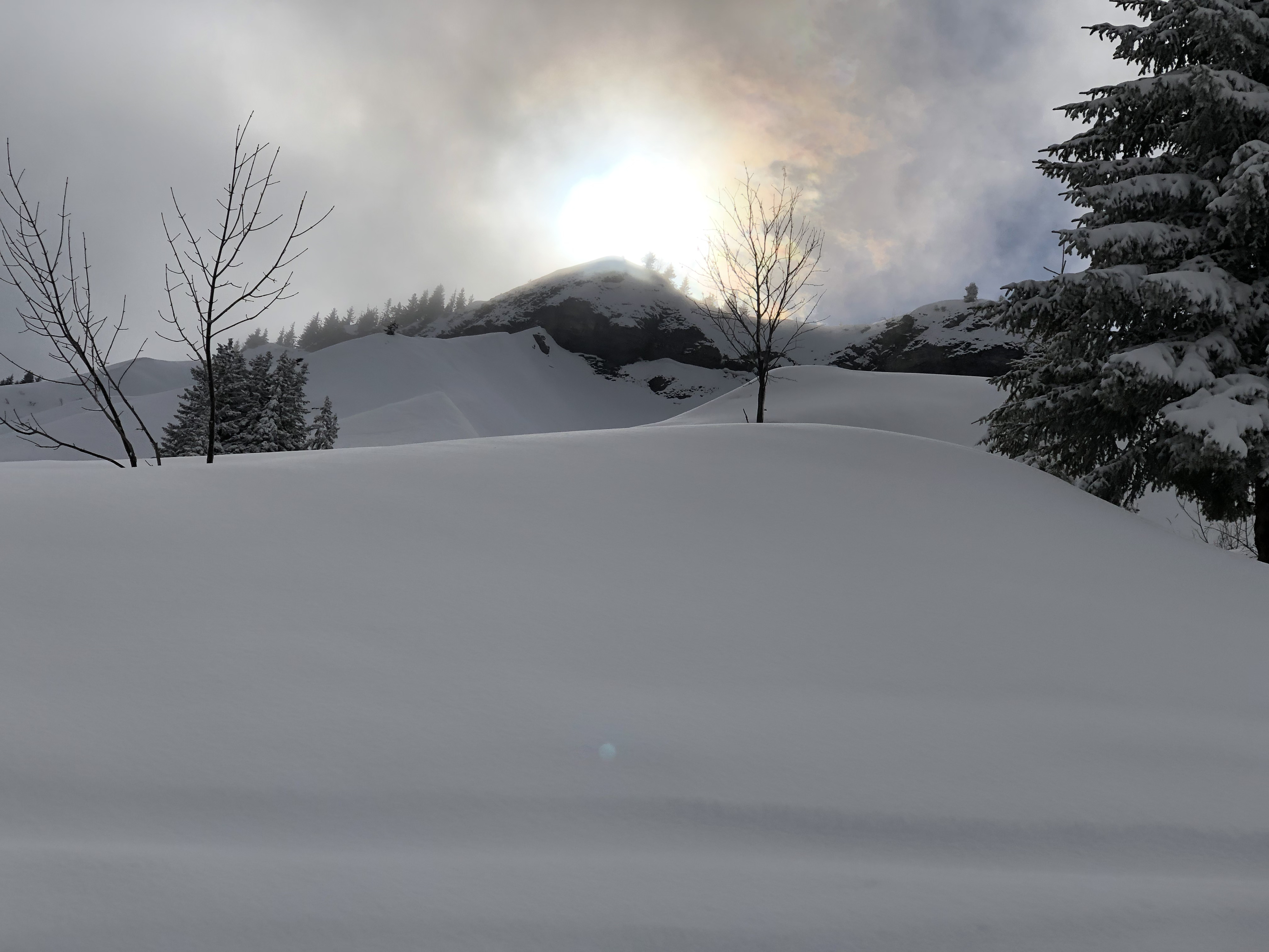 Photo France Megève 2019-03 42