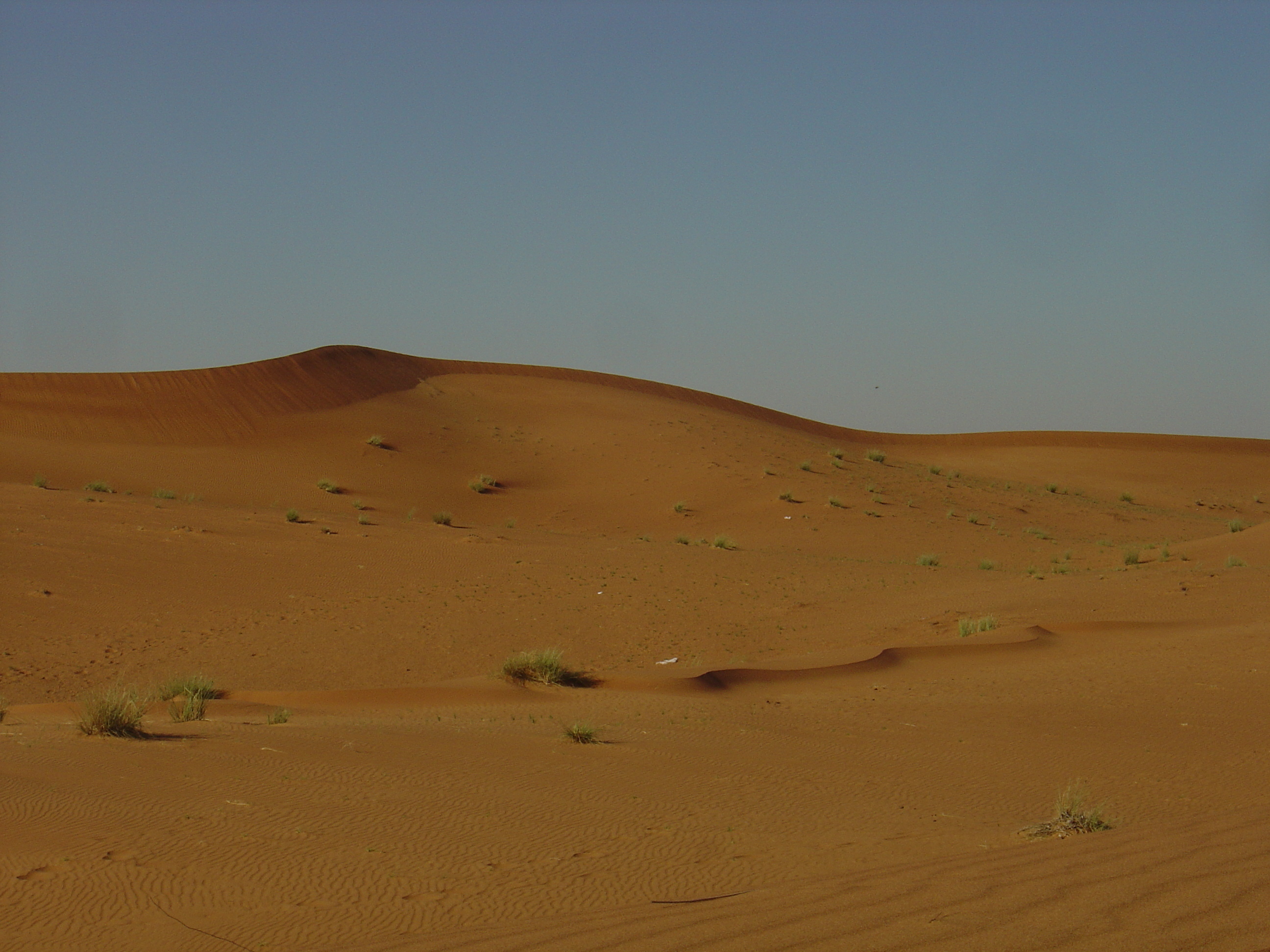 Photo Émirats arabes unis Route de Dubai à Al Ain 2005-03 52