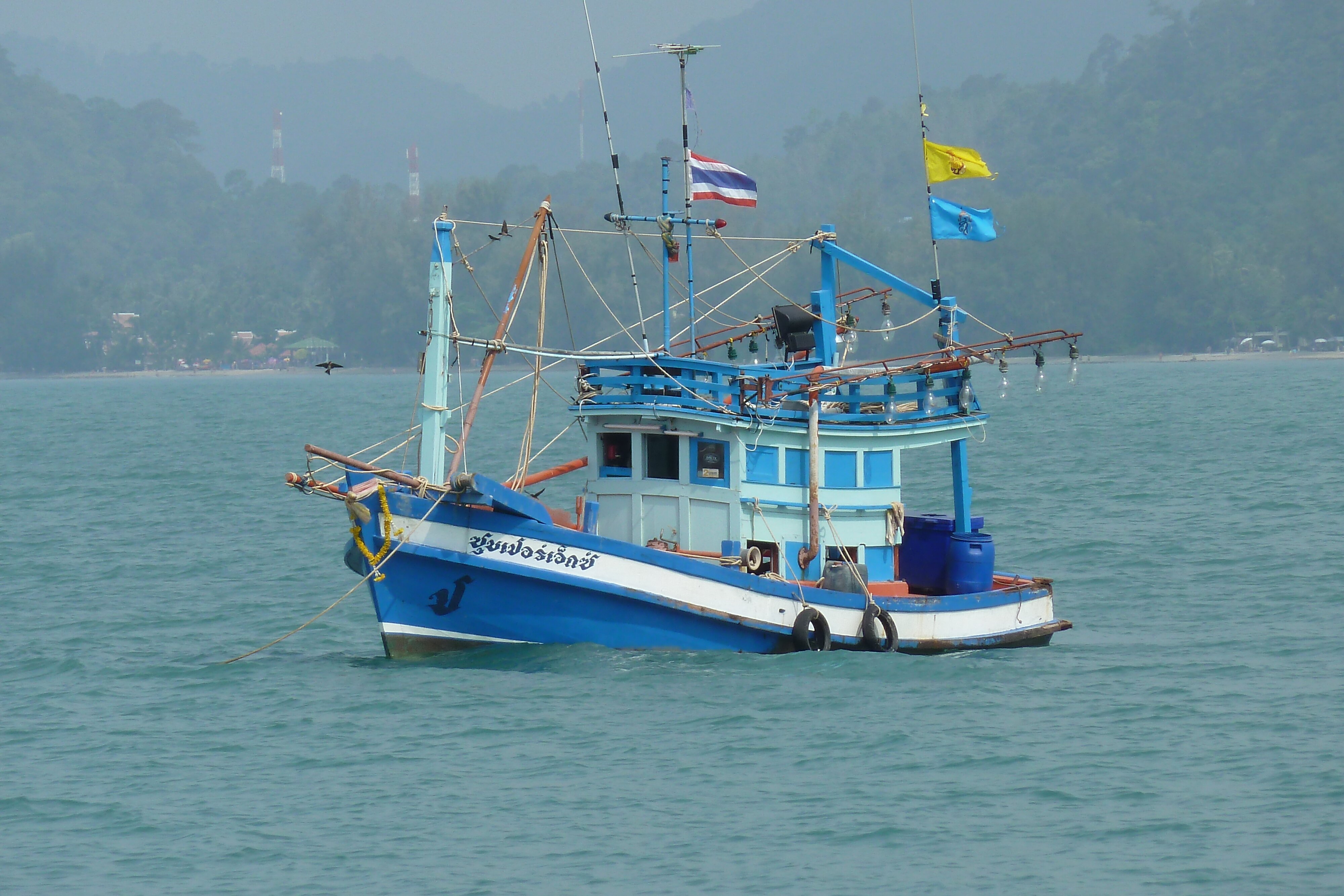 Photo Thaïlande Ko Chang Plage de Klong Prao 2011-02 119