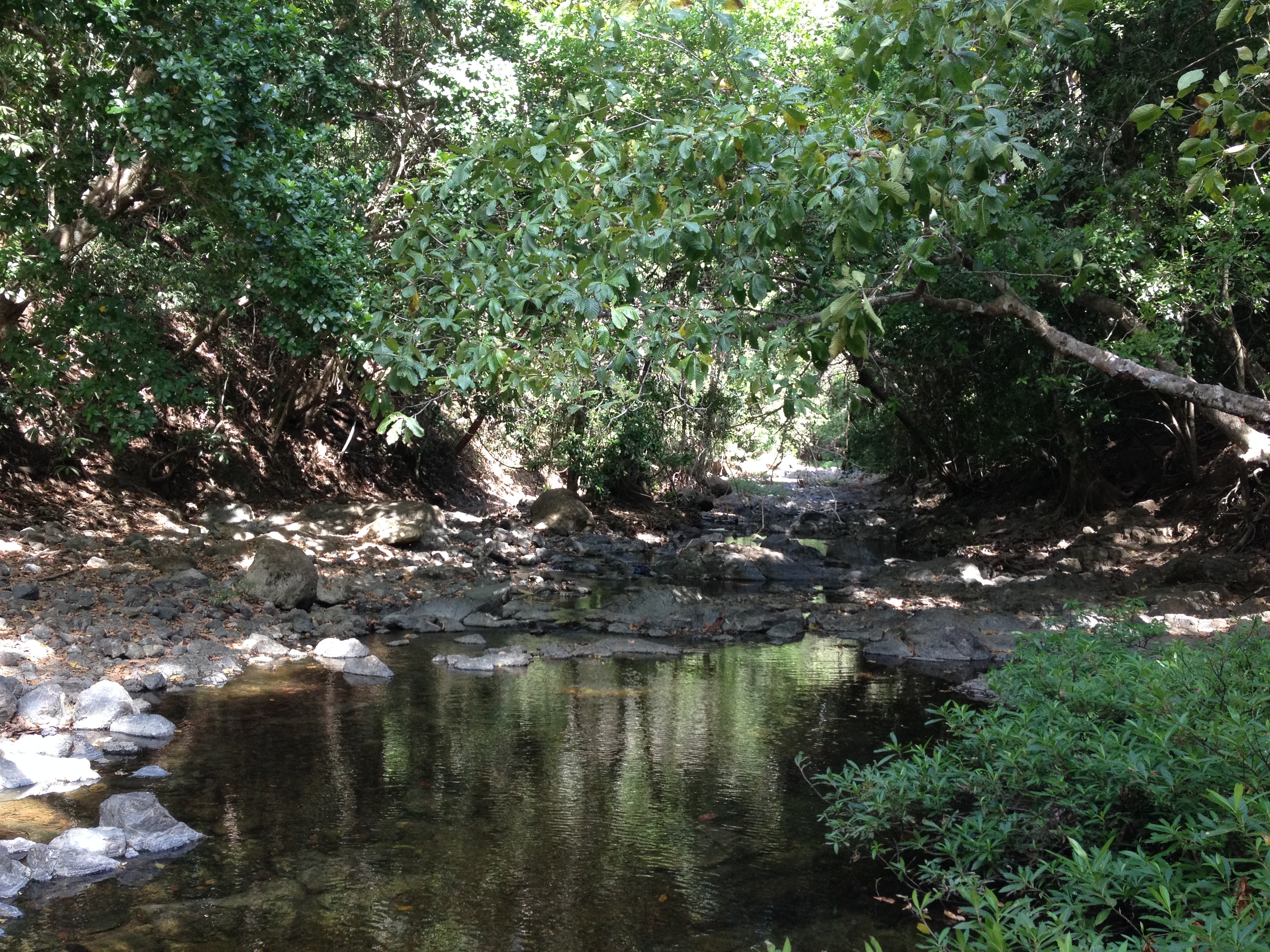 Photo Costa Rica Montezuma 2015-03 162