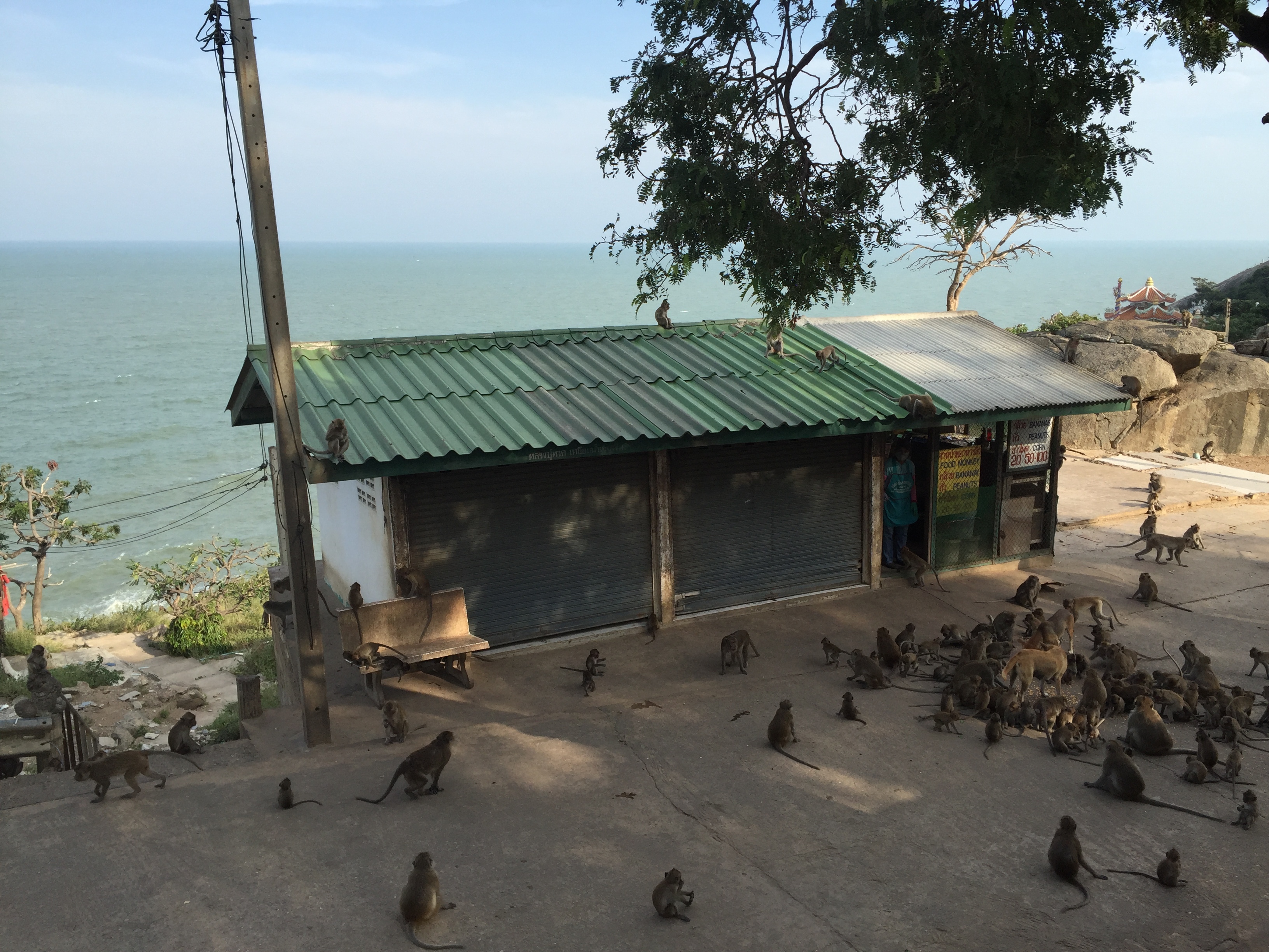 Photo Thaïlande Hua hin 2016-01 12