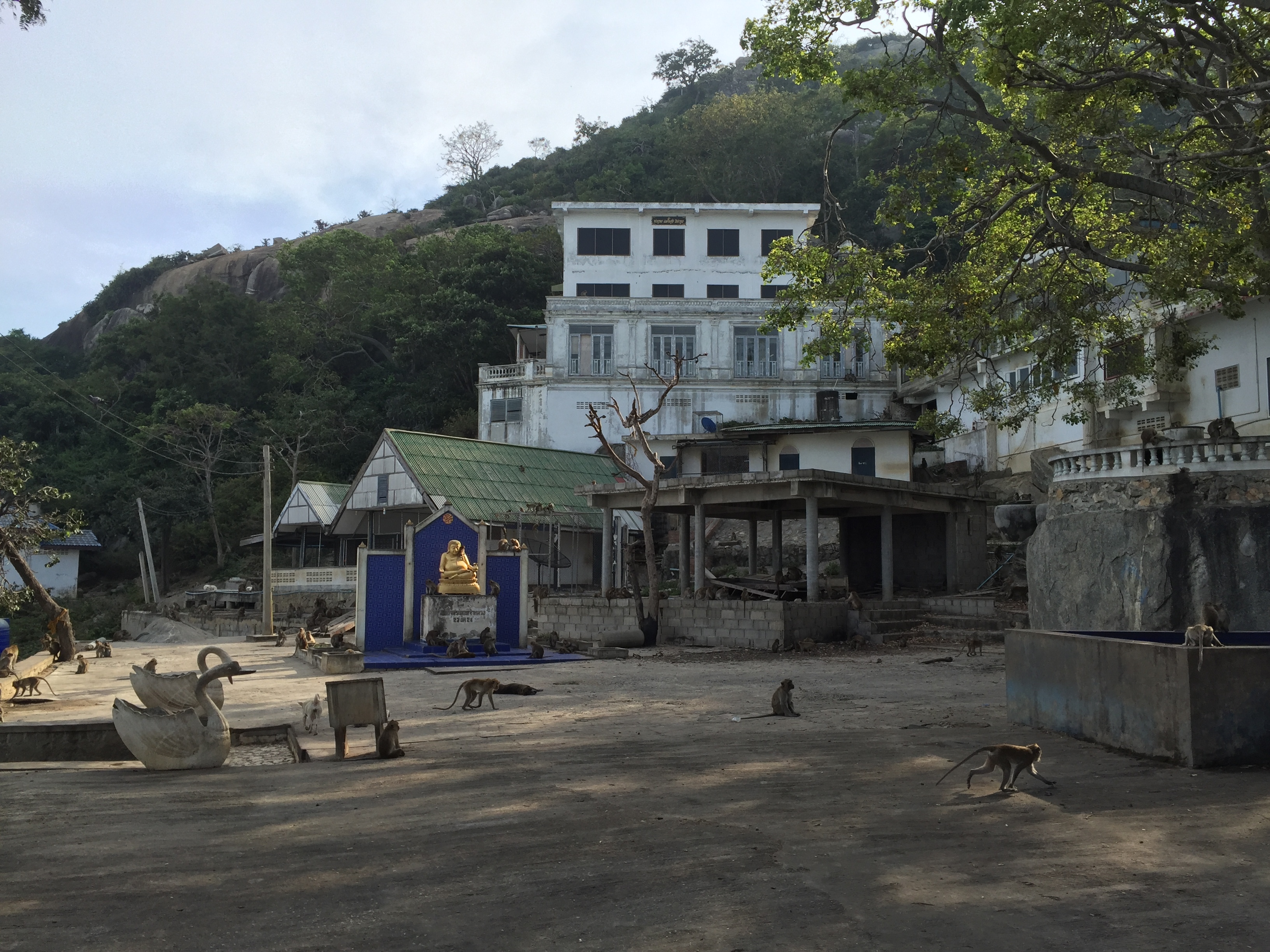 Photo Thaïlande Hua hin 2016-01 30