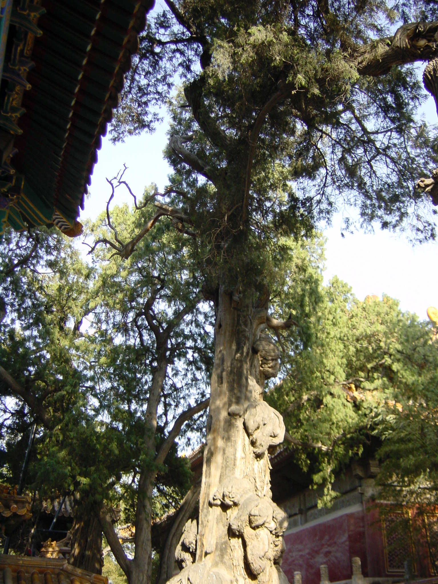 Photo Chine Pékin Cité Interdite 2002-05 128