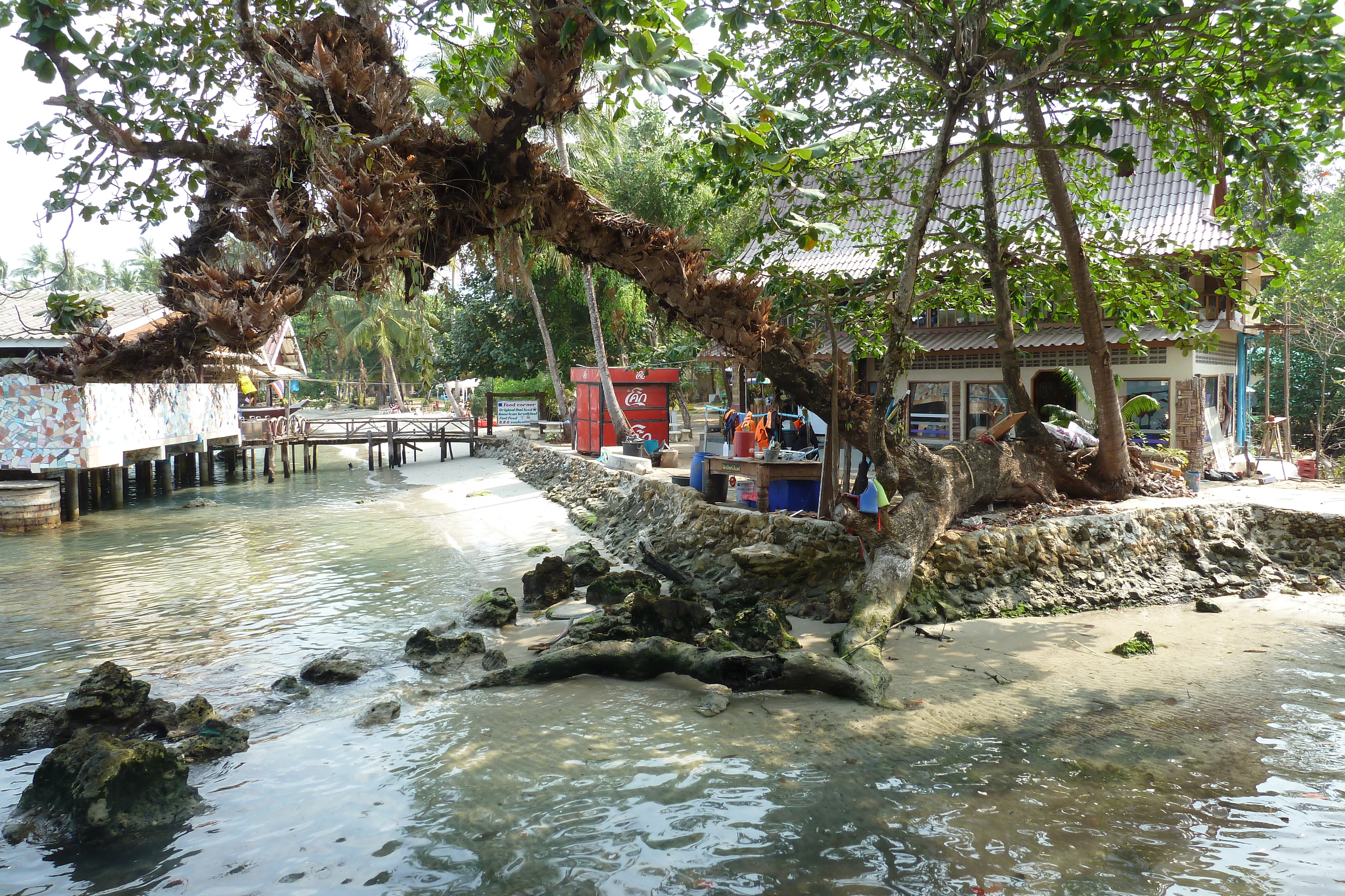 Photo Thaïlande Ko Chang Plage de Klong Prao 2011-02 2