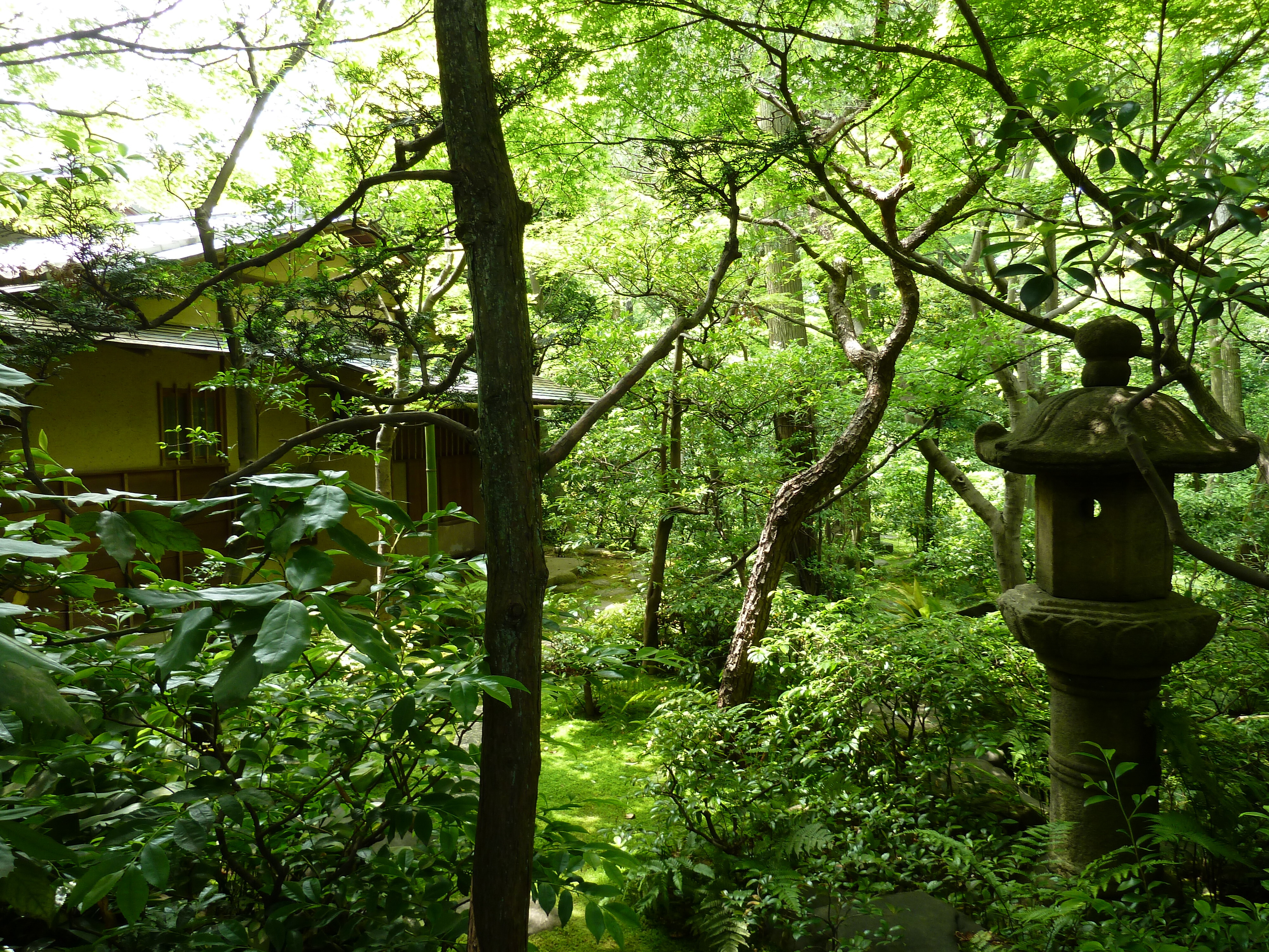 Photo Japon Tokyo Musée Nezu 2010-06 64