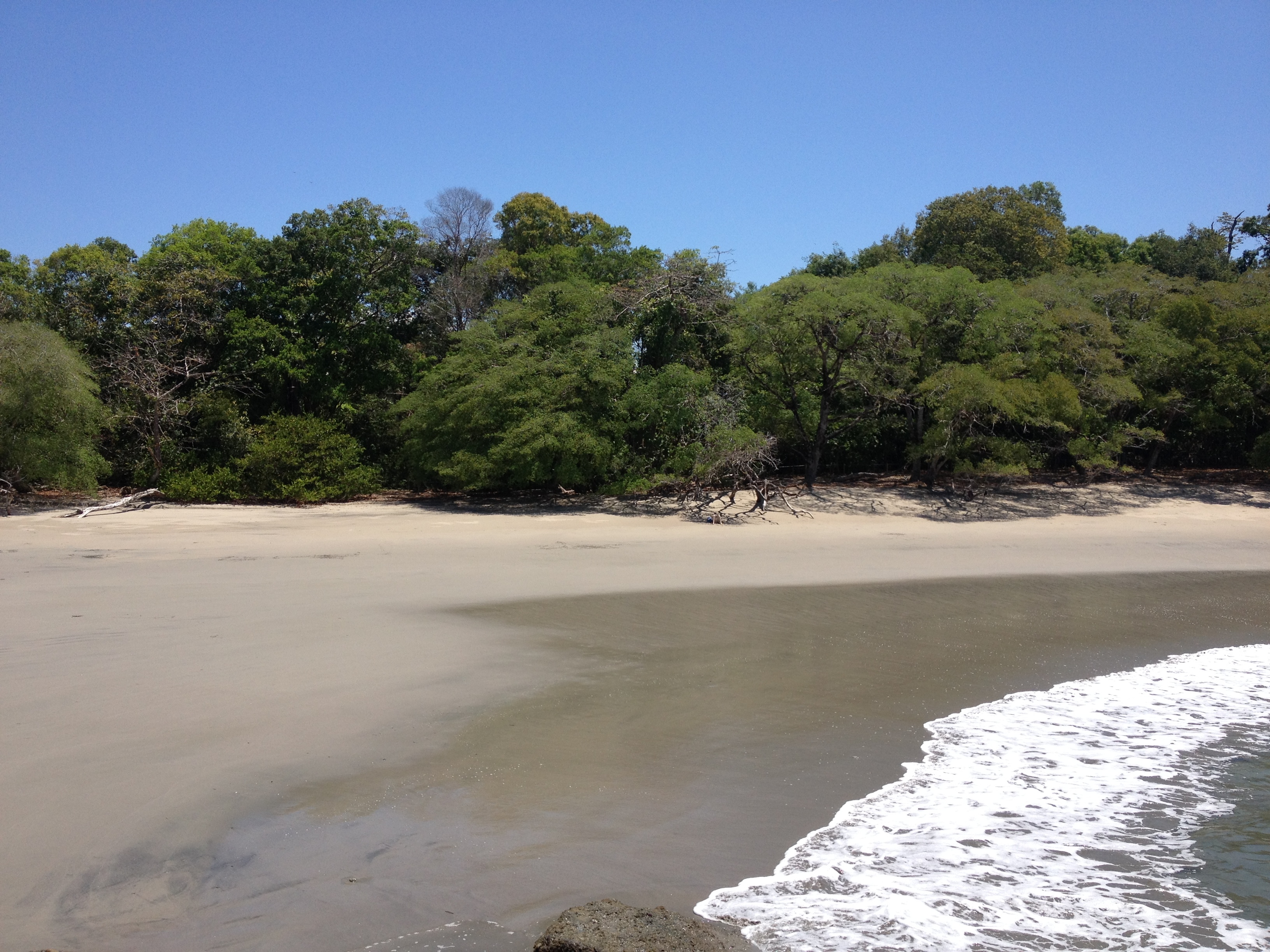 Photo Costa Rica Parc Manuel Antonio 2015-03 282