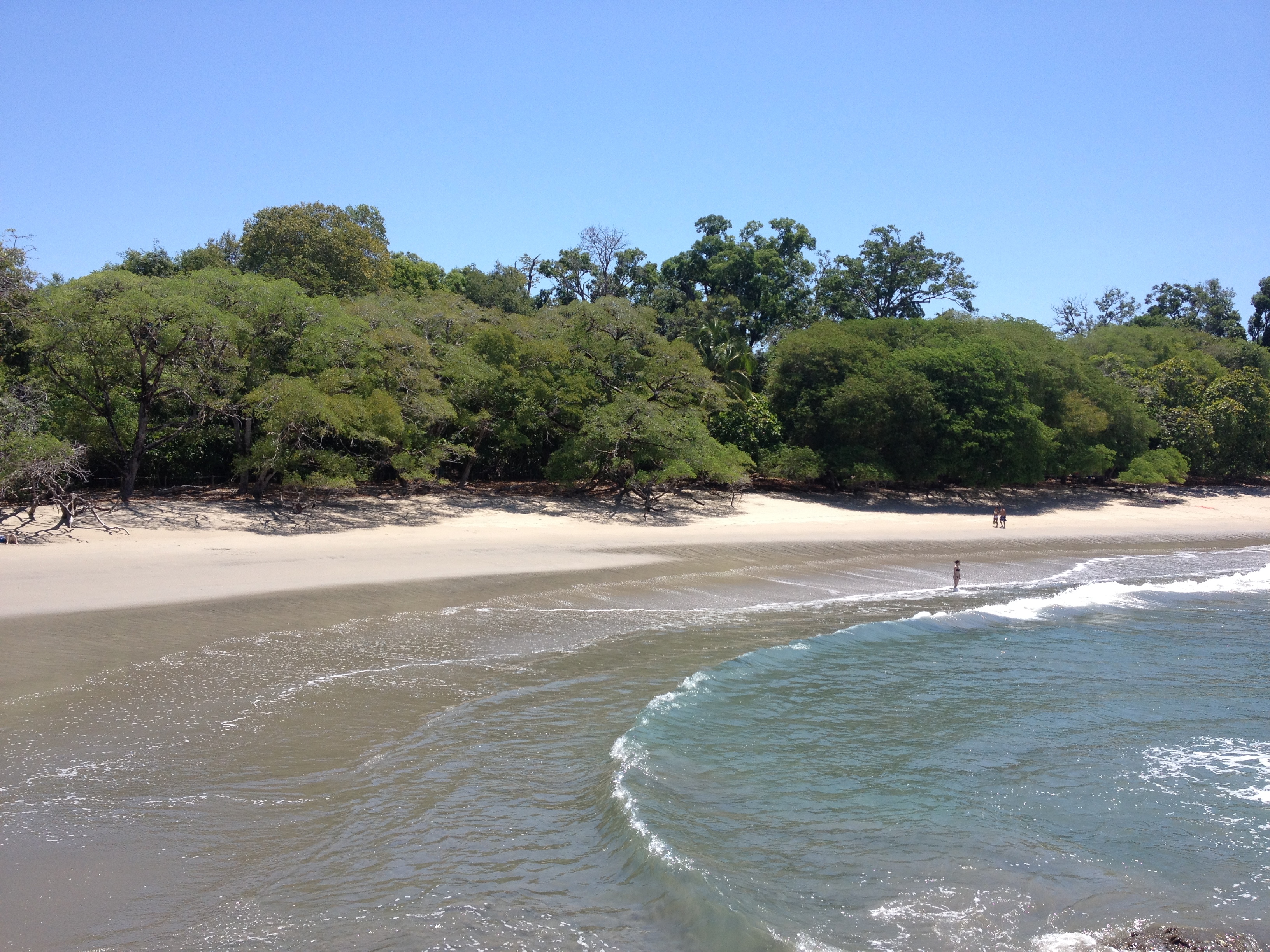 Photo Costa Rica Parc Manuel Antonio 2015-03 190