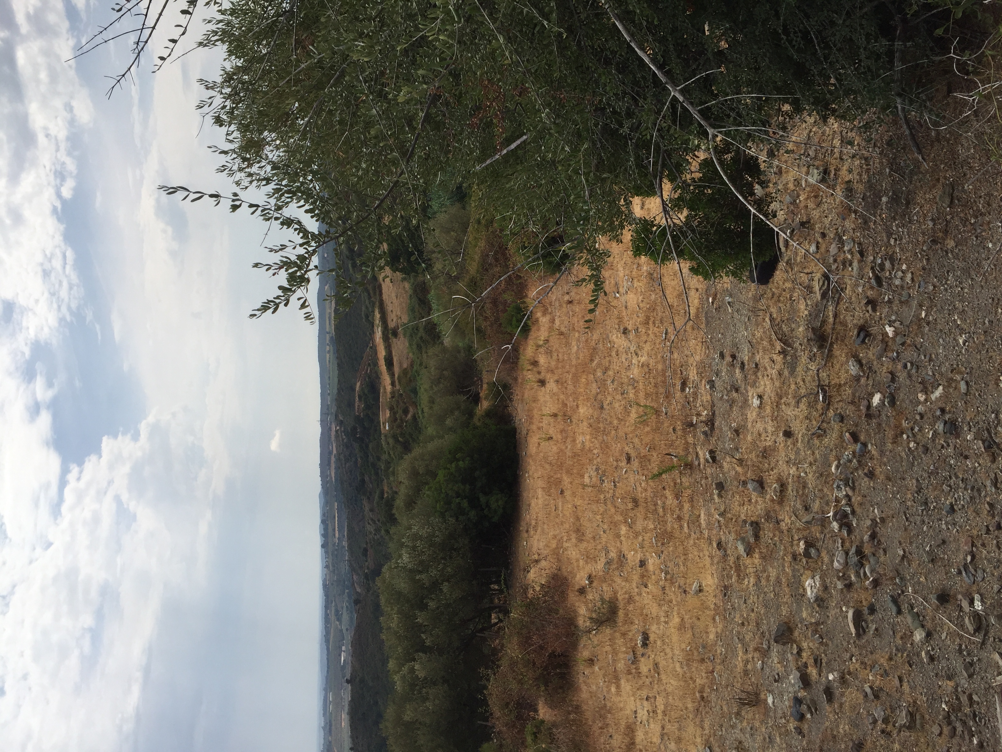 Photo France Corse Tox 2017-09 6