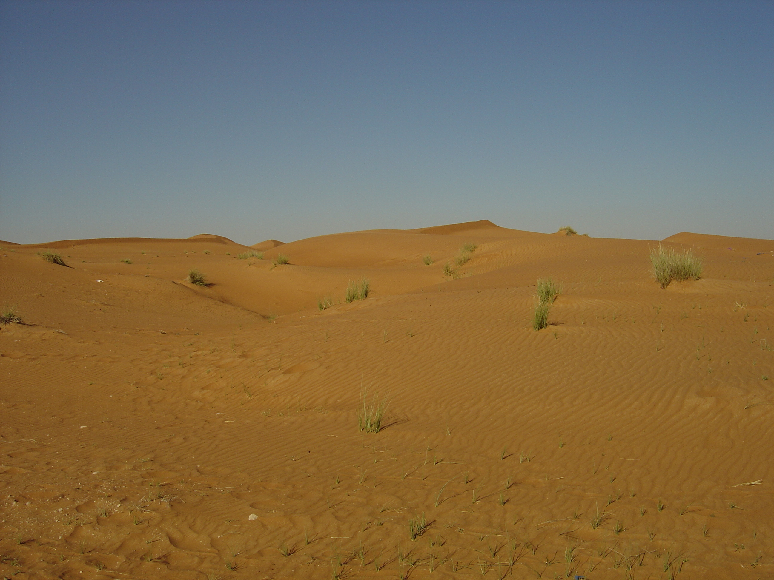 Photo Émirats arabes unis Route de Dubai à Al Ain 2005-03 11