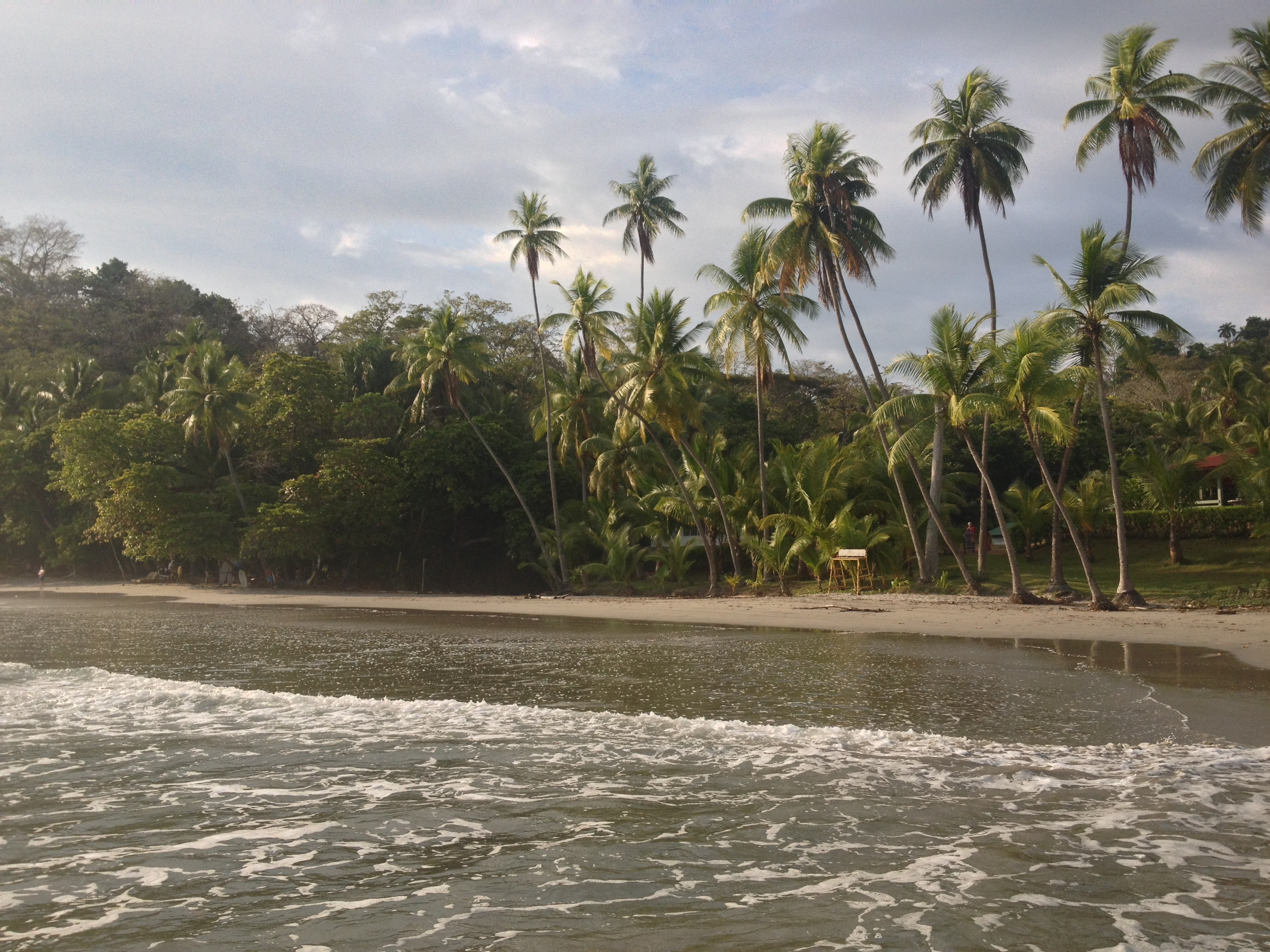 Photo Costa Rica Parc Manuel Antonio 2015-03 263