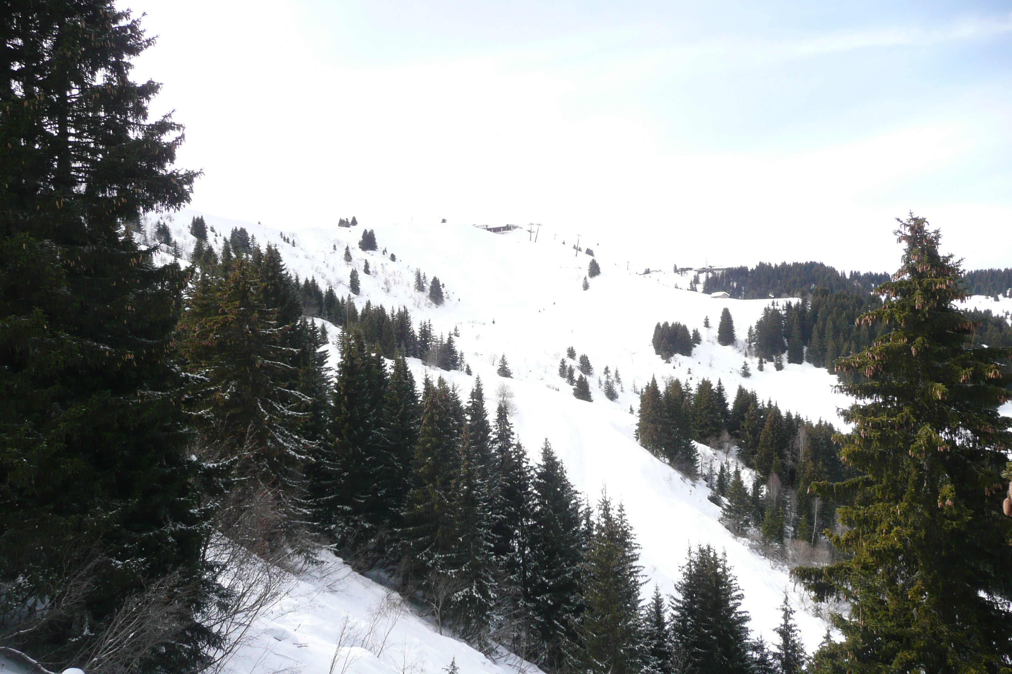 Photo France Megève Mont d'Arbois 2010-02 169