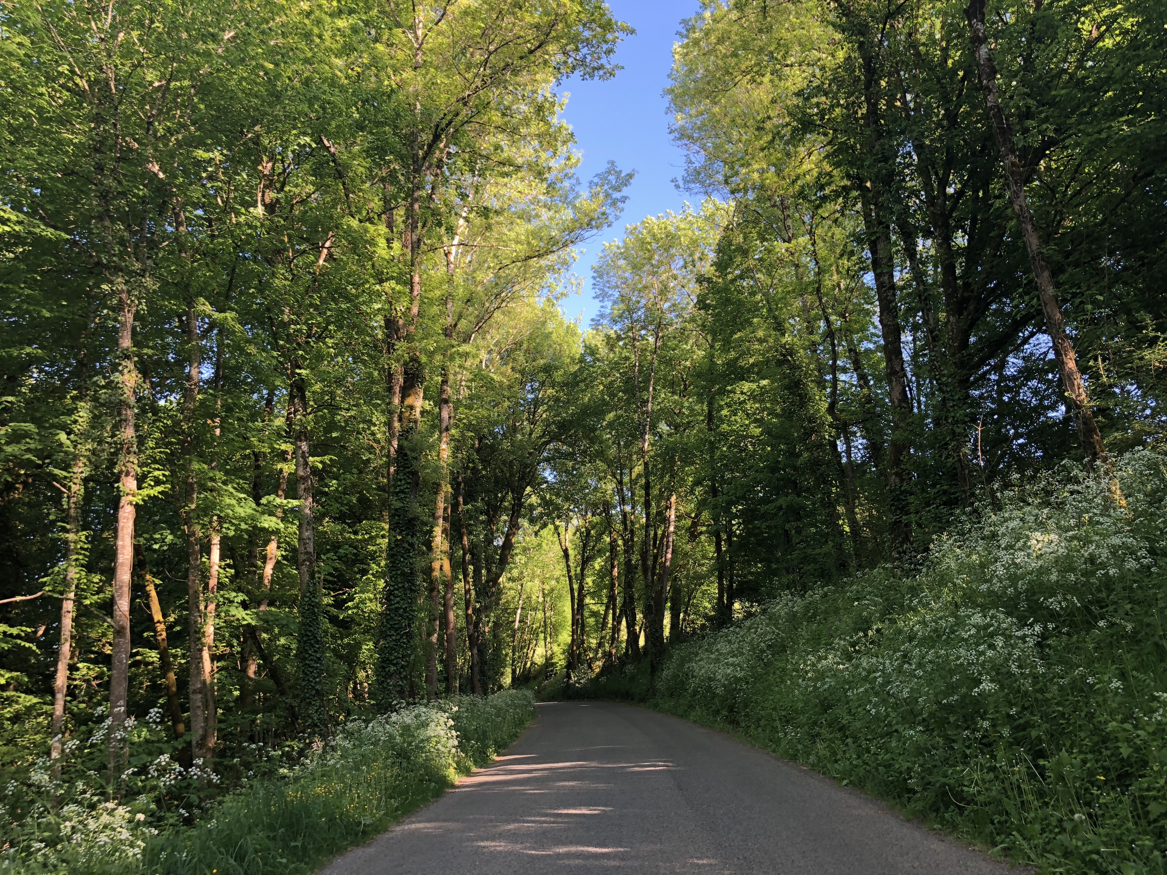 Photo France Floirac 2018-04 17